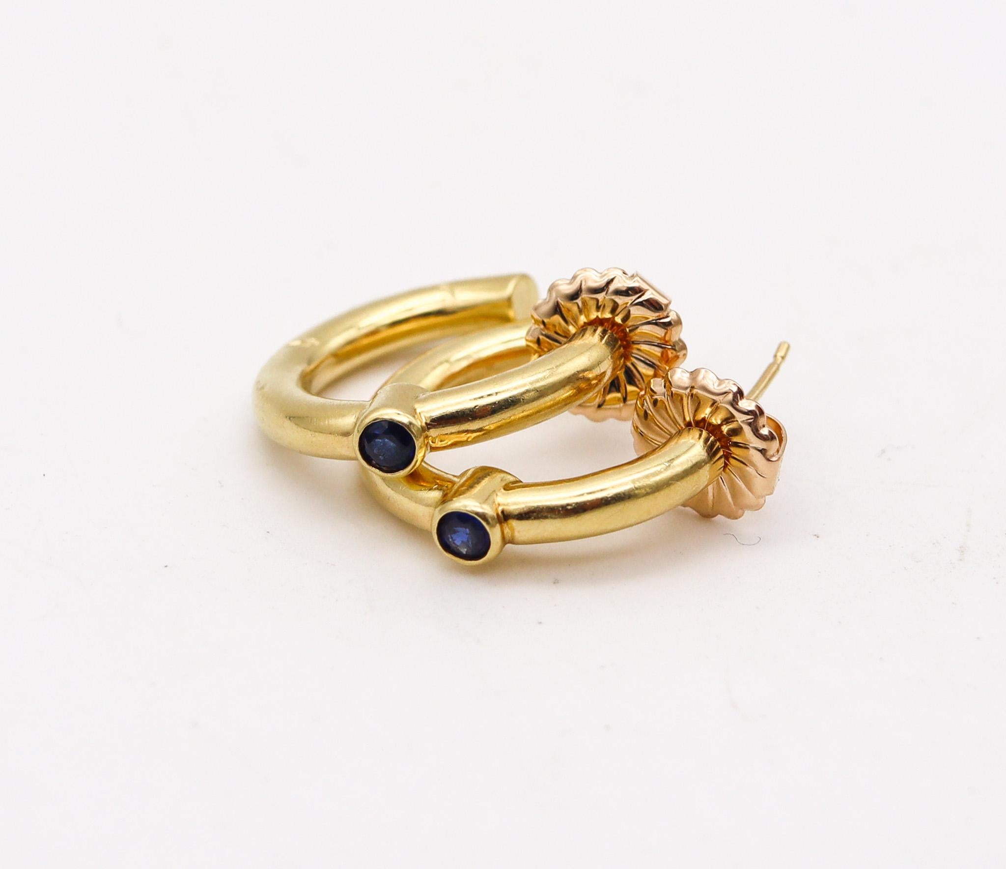 Modernist Reinstein Ross Hoops Earrings In Brushed 18Kt Yellow Gold With Blue Sapphires For Sale