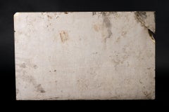 Relief of the Lion of Venice in Antique yellow marble