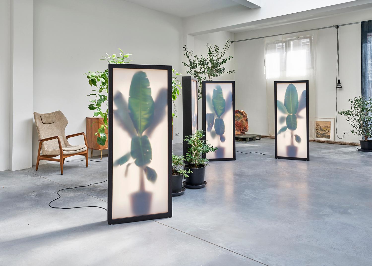 Powder-Coated REM Atelier, Growing Plants Indoors, Light Box with Photographic Collage, 2018 For Sale