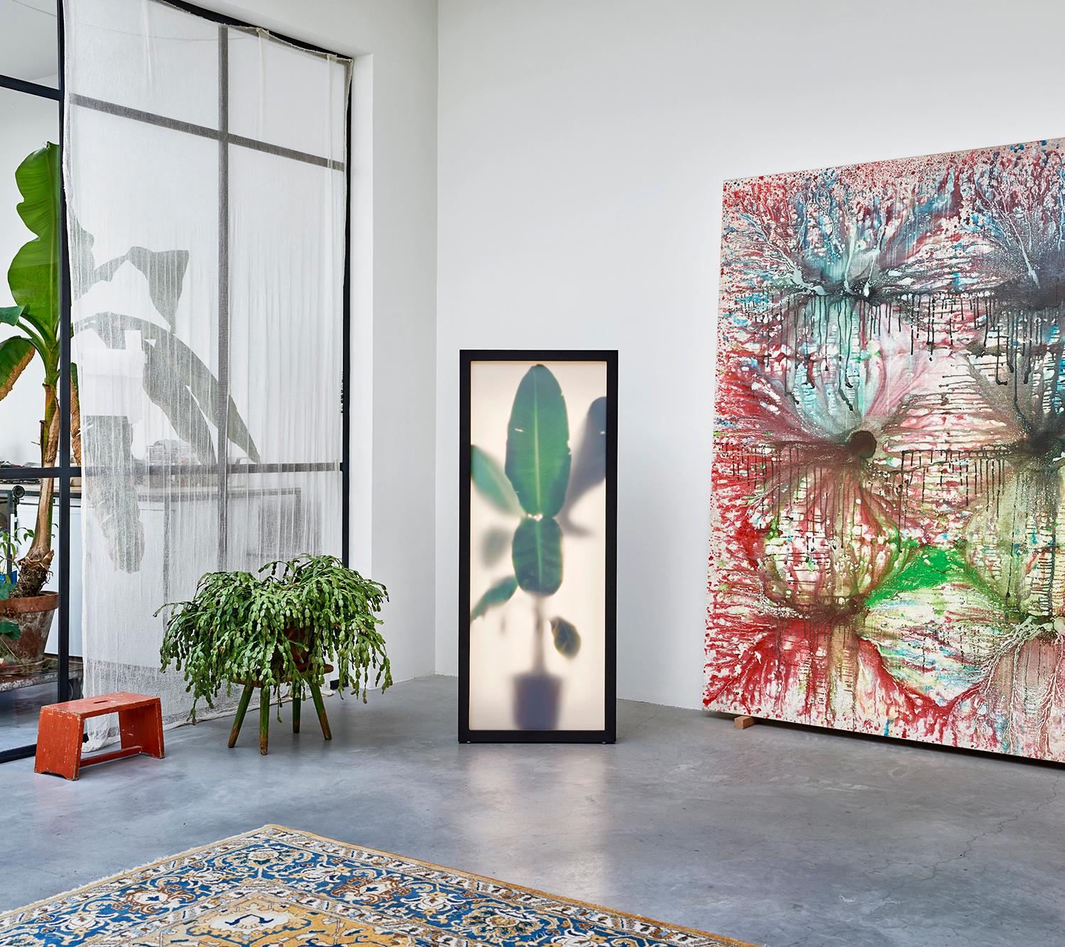 REM Atelier, Growing Plants Indoors, Light Box with Photographic Collage, 2018 In New Condition For Sale In Rotterdam, Netherlands