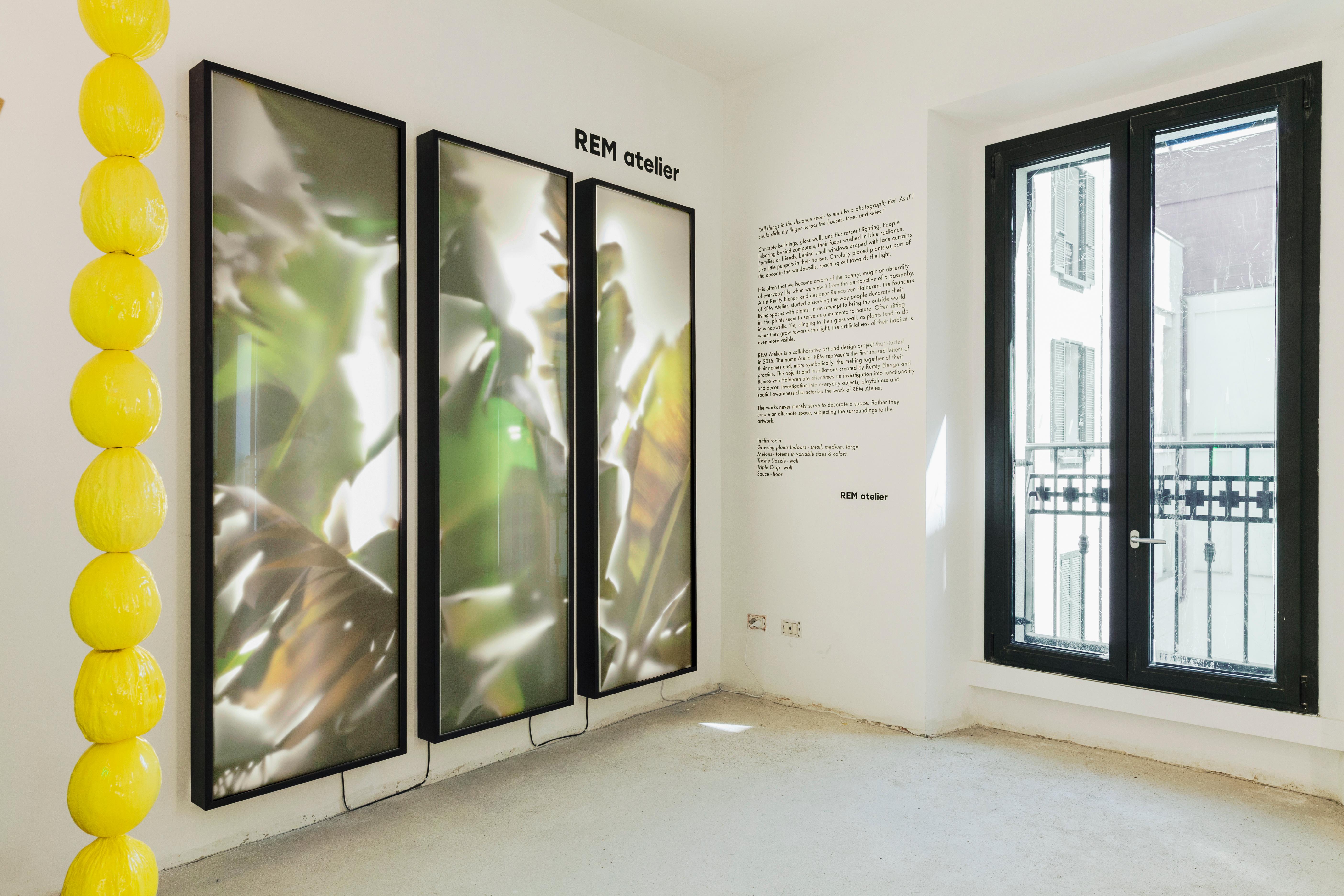 A series of wall pieces that present itself in the shape of three back litten windows attached to the wall with illusionary plants trapped inside of them. The installation adds to the space it’s situated in; providing a framework in the space that