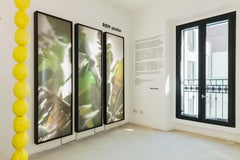 REM Atelier, Wall Triptych, Botanical Lightboxes, 2018