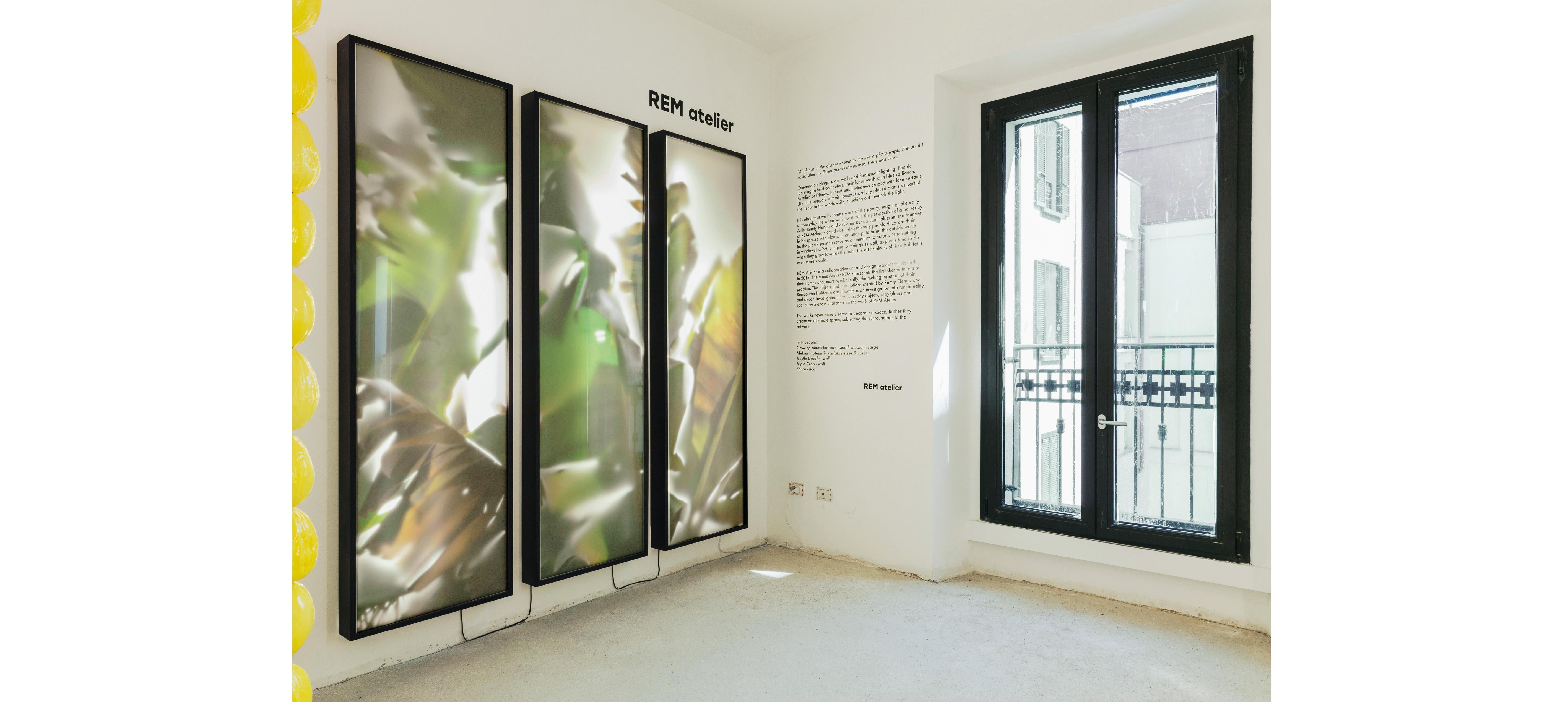 Modern REM Atelier, Wall Triptych, Botanical Lightboxes, 2018 For Sale