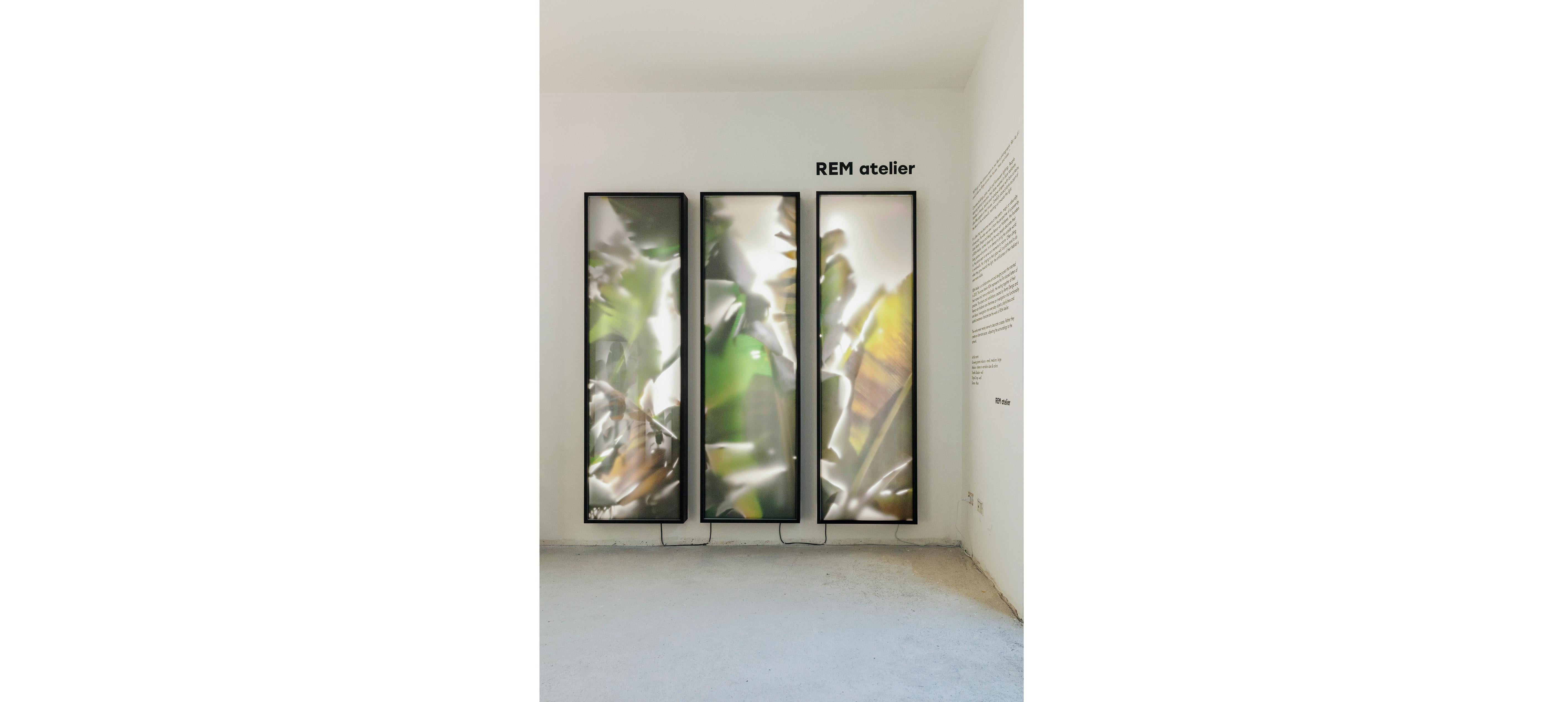 Dutch REM Atelier, Wall Triptych, Botanical Lightboxes, 2018 For Sale