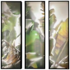 REM Atelier, Wall Triptych, Botanical Lightboxes, 2018
