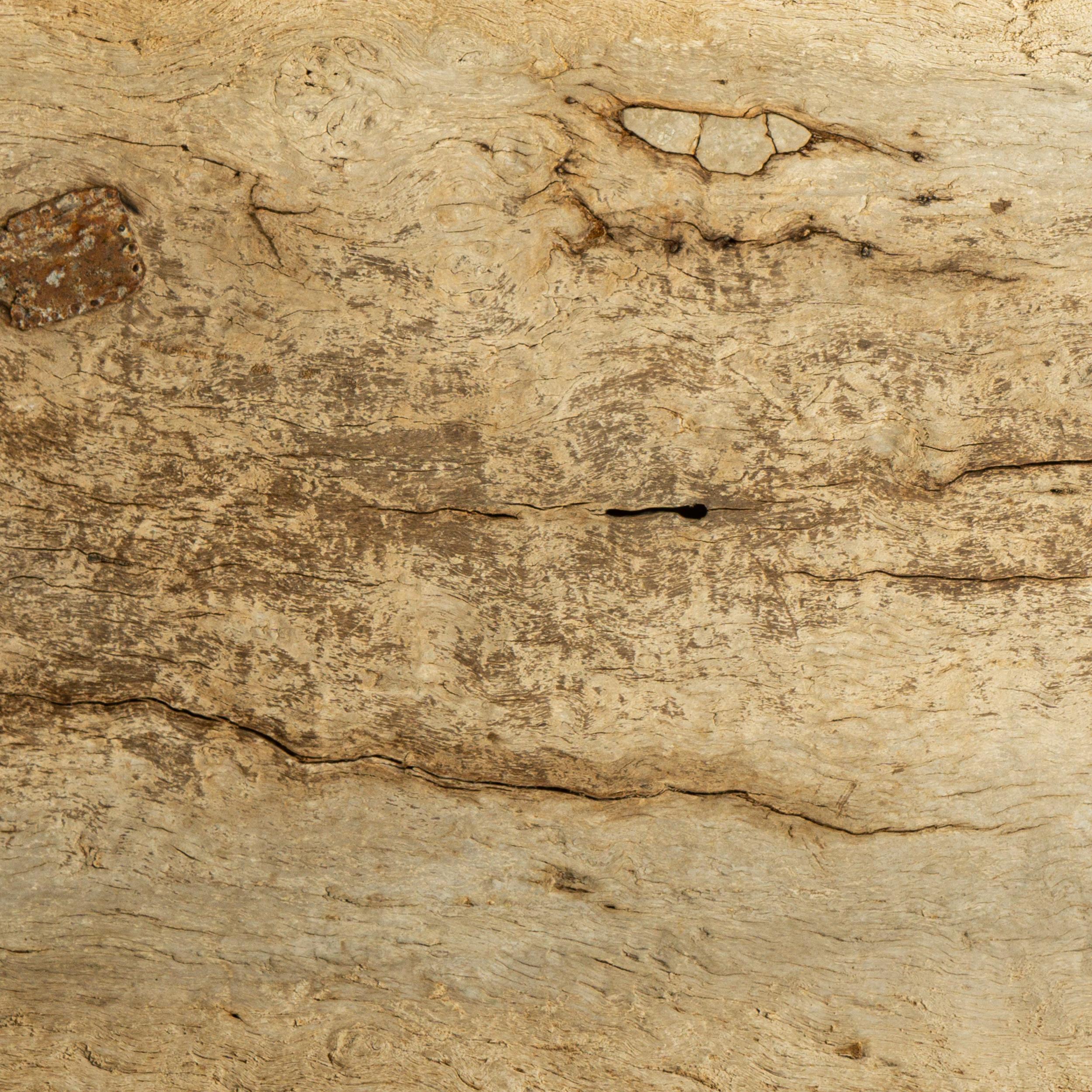 Bemerkenswerte Trockenschale aus Mesquite-Holz, gefunden in Jalisco, West Mexiko, Mitte des 19. Jahrhunderts  im Angebot 6