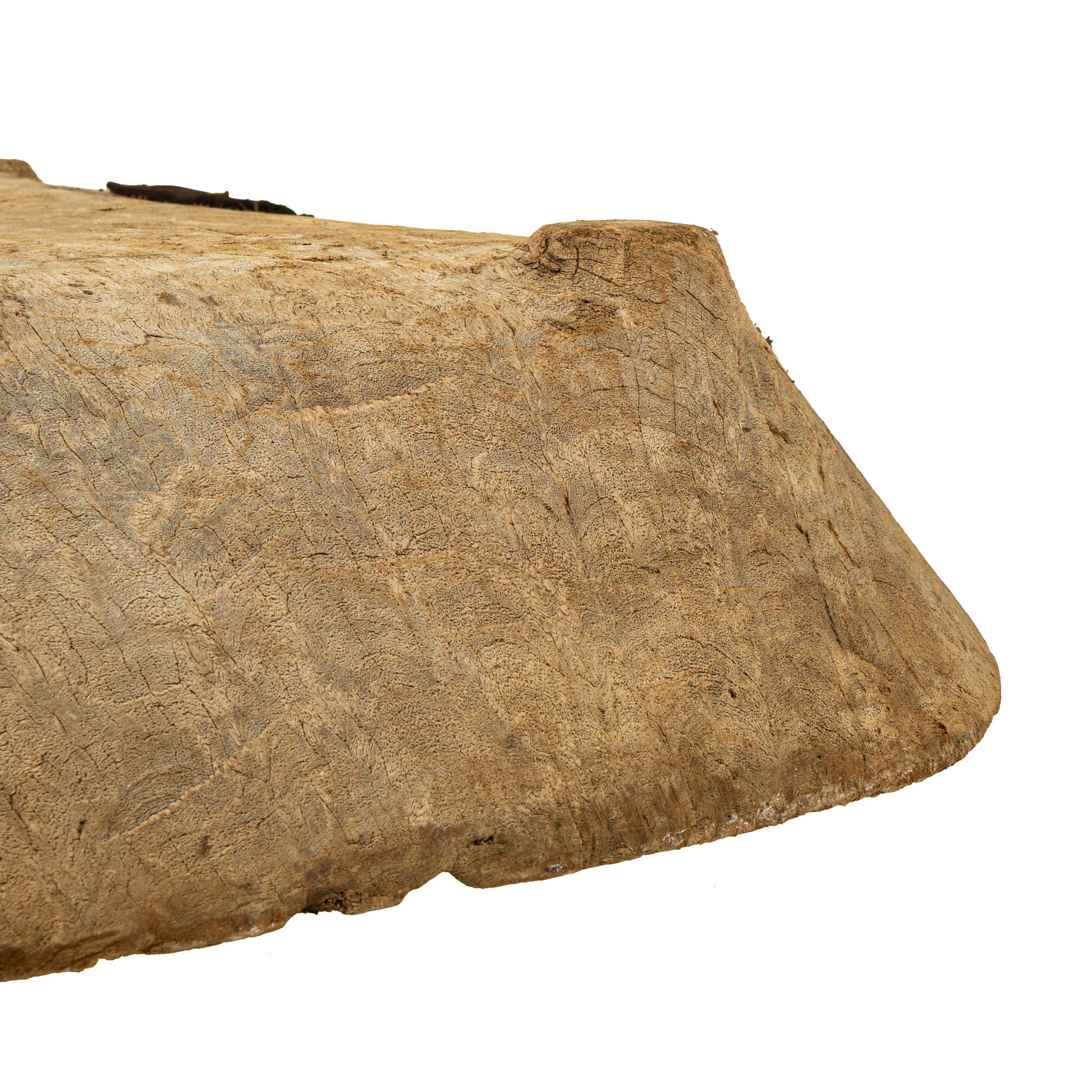 Bemerkenswerte Trockenschale aus Mesquite-Holz, gefunden in Jalisco, West Mexiko, Mitte des 19. Jahrhunderts  im Angebot 3