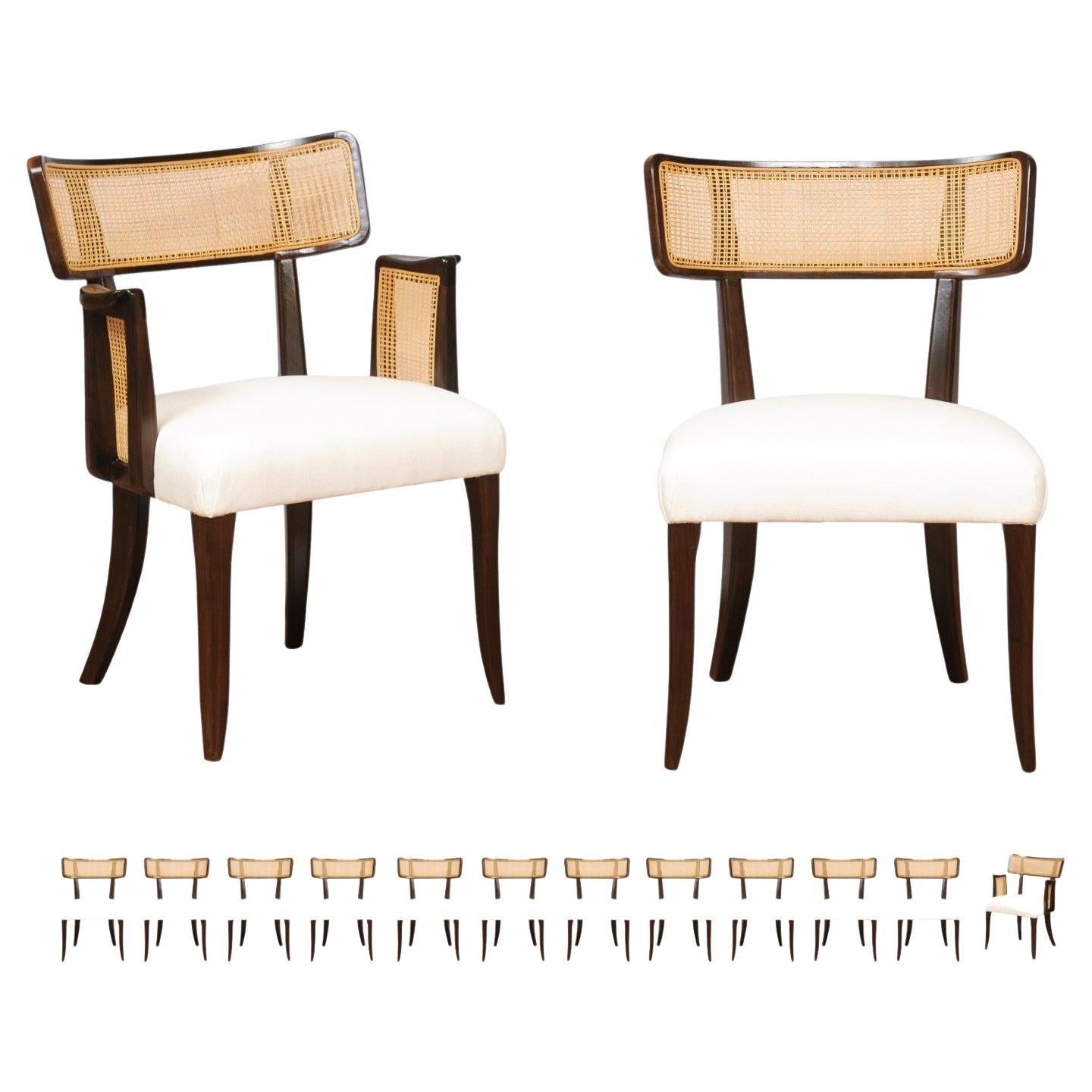Remarkable Set of 14 Klismos Cane Dining Chairs by Edward Wormley, circa 1948 For Sale