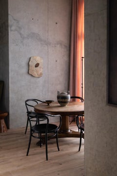 Remarkably Well-Preserved Fossilized Leaf from 50 million years ago