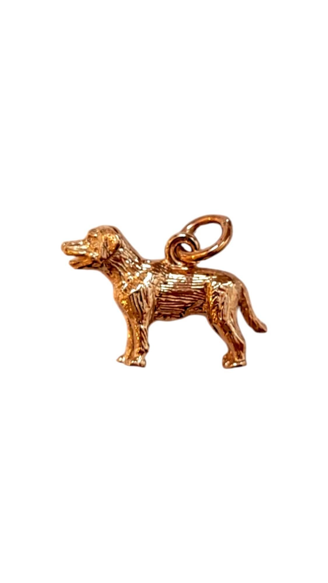Rembrandt 14K Yellow Gold Labrador Retriever Dog Charm

This adorable 14k yellow gold lab charm is a delightful tribute to man's best friend. With intricate detailing and a warm, radiant finish, it’s the perfect way to celebrate the love and loyalty