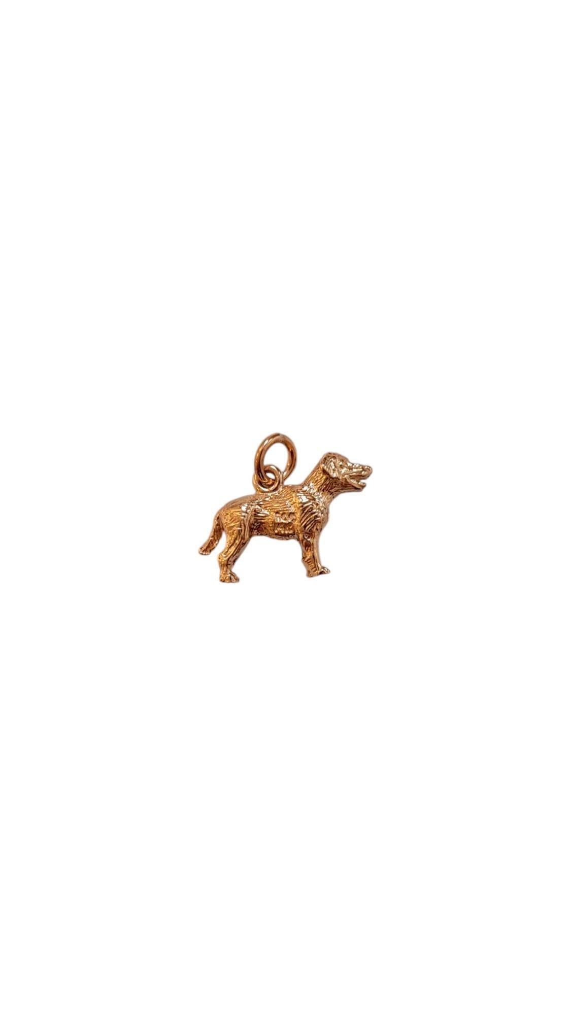 Rembrandt 14K Yellow Gold Labrador Retriever Dog Charm #20529 In Good Condition In Washington Depot, CT
