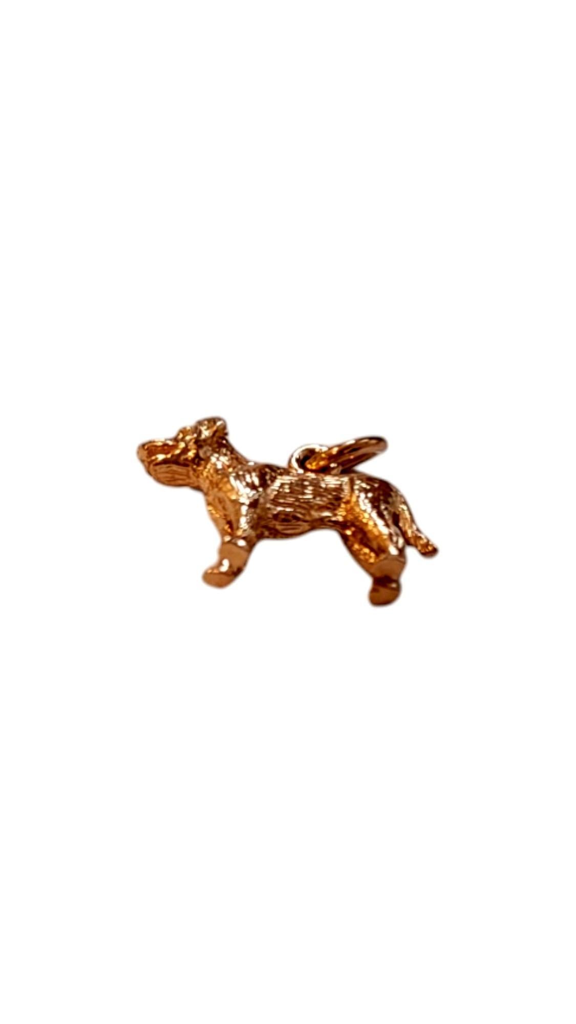 Women's Rembrandt 14K Yellow Gold Labrador Retriever Dog Charm #20529