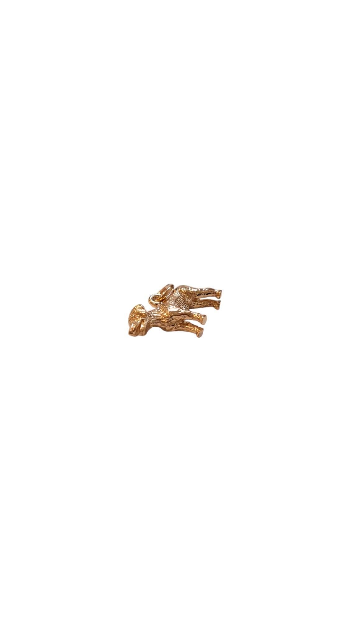 Rembrandt 14K Yellow Gold Labrador Retriever Dog Charm #20529 1