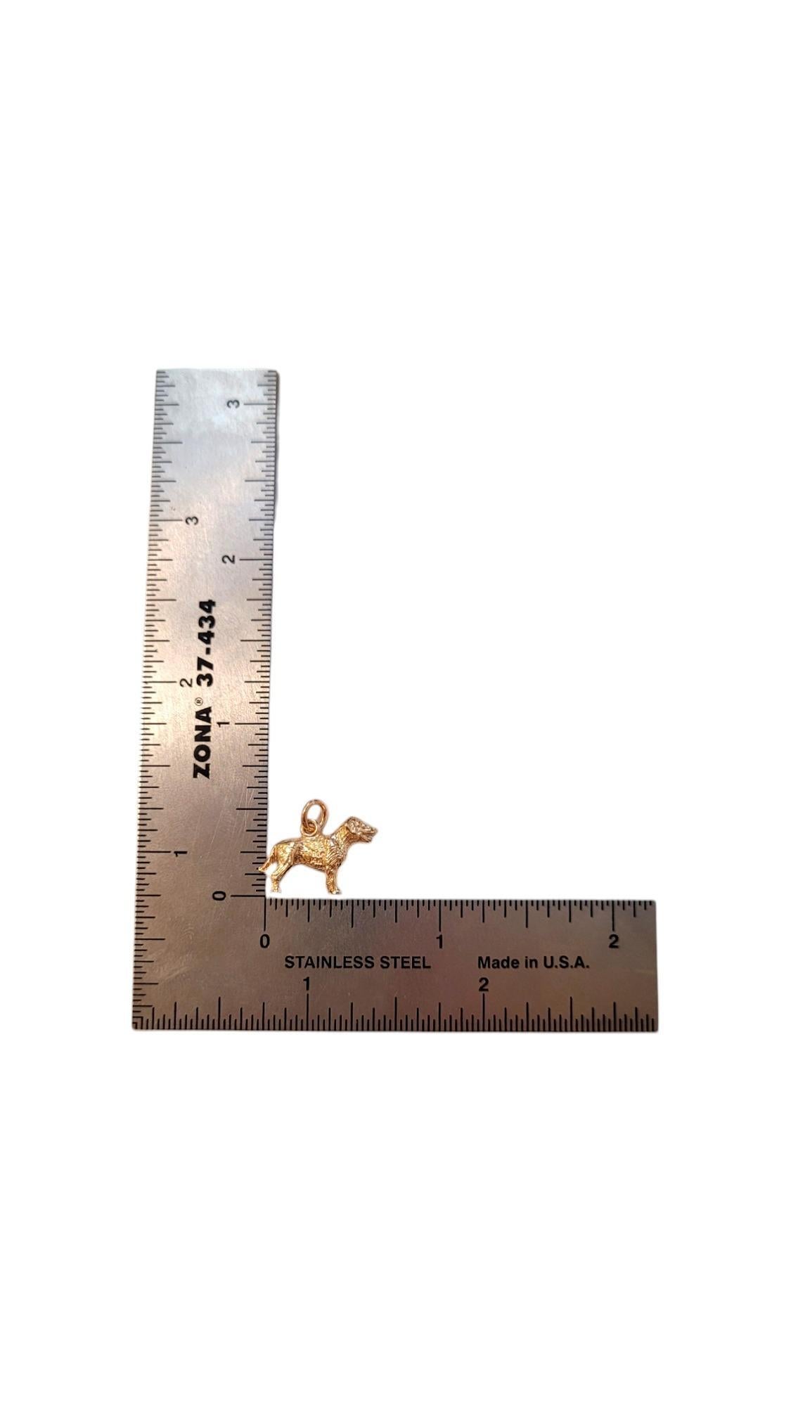Rembrandt 14K Yellow Gold Labrador Retriever Dog Charm #20529 3