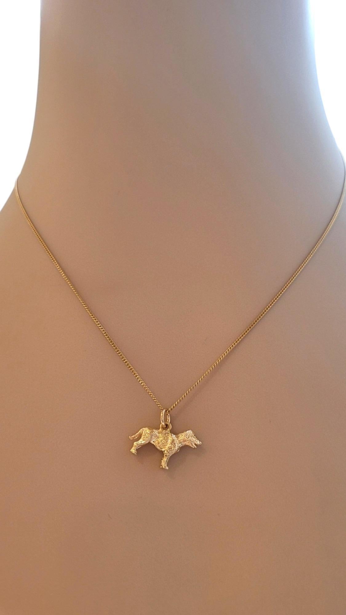 Rembrandt 14K Yellow Gold Labrador Retriever Dog Charm #20529 4
