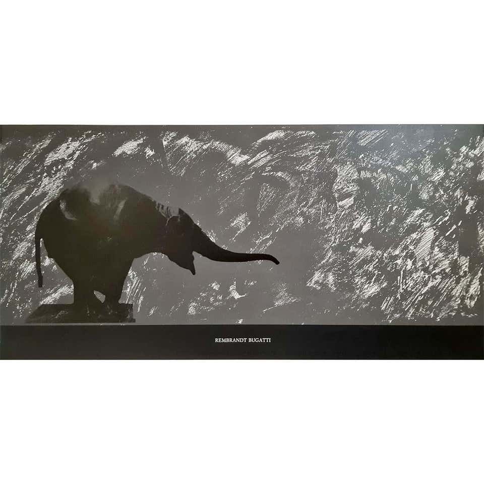 Elephant Radiators Vintage Radiator Mascot - 9 For Sale on 1stDibs
