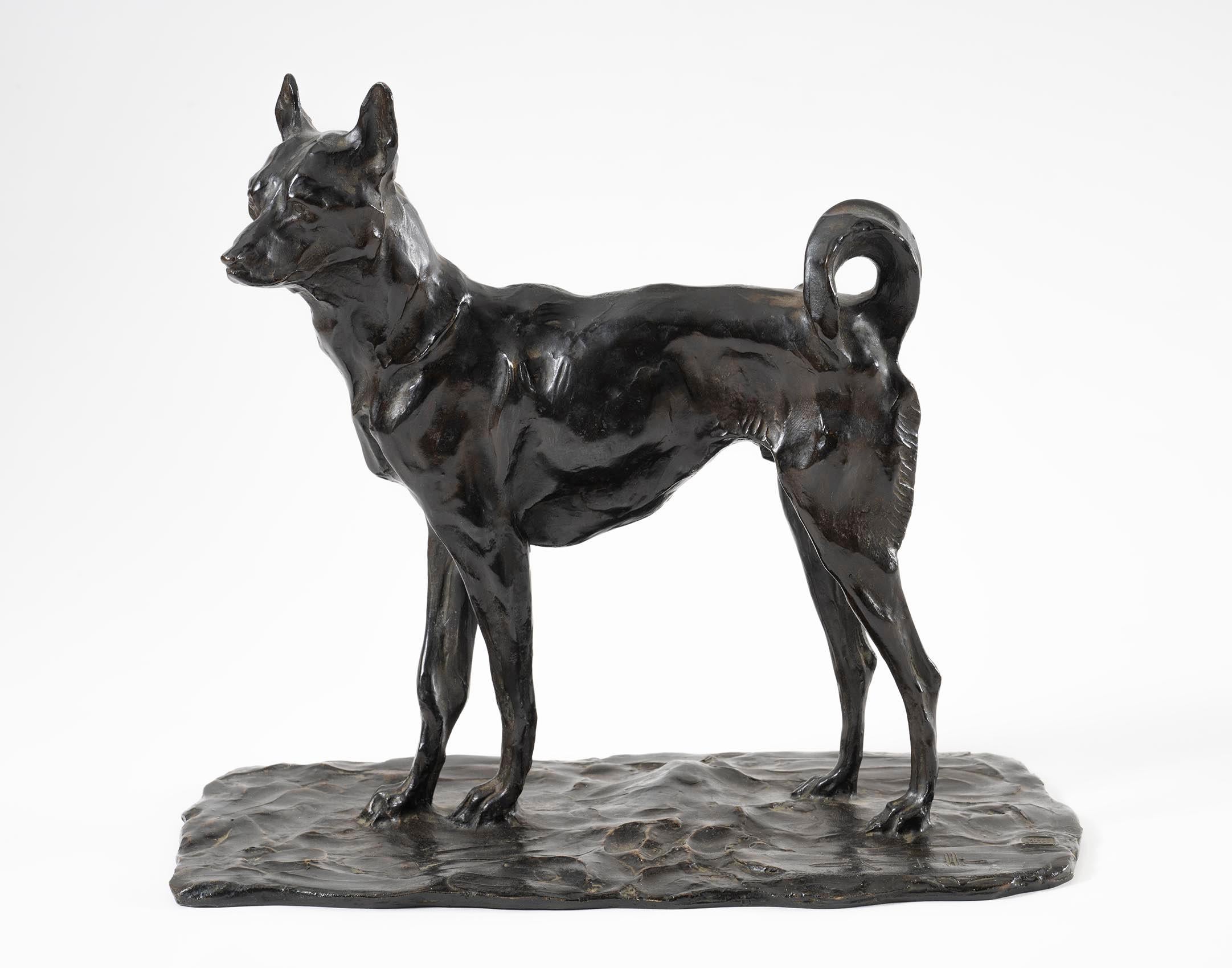 Chien d'Annam, Bugatti, Scultura, Animale, Design, Bronzo, Fine Art - Figurative Sculpture Oro di Rembrandt Bugatti