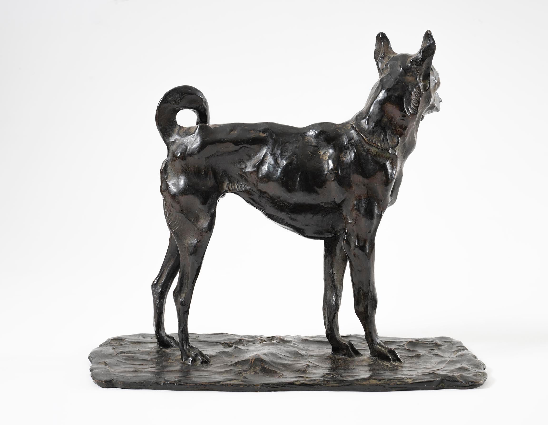 REMBRANDT BUGATTI  (1884 - 1916)
Chien d'Annam
Fonderia A.A. Hebrard
Bronzo con patina marrone sfumata
26 x 29.5 cm x 14.5 cm
Firmato, timbrato e numerato sulla base: R.Bugatti, Cire Perdue, A.A.Hebrard.6

Certificato di autenticità rilasciato da