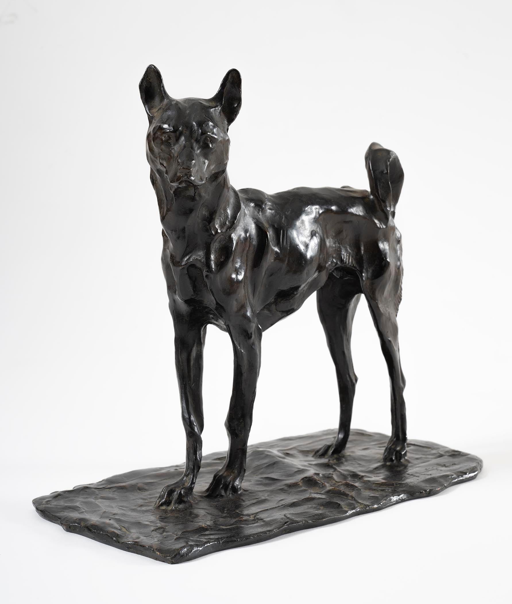 Figurative Sculpture di Rembrandt Bugatti - Chien d'Annam, Bugatti, Scultura, Animale, Design, Bronzo, Fine Art