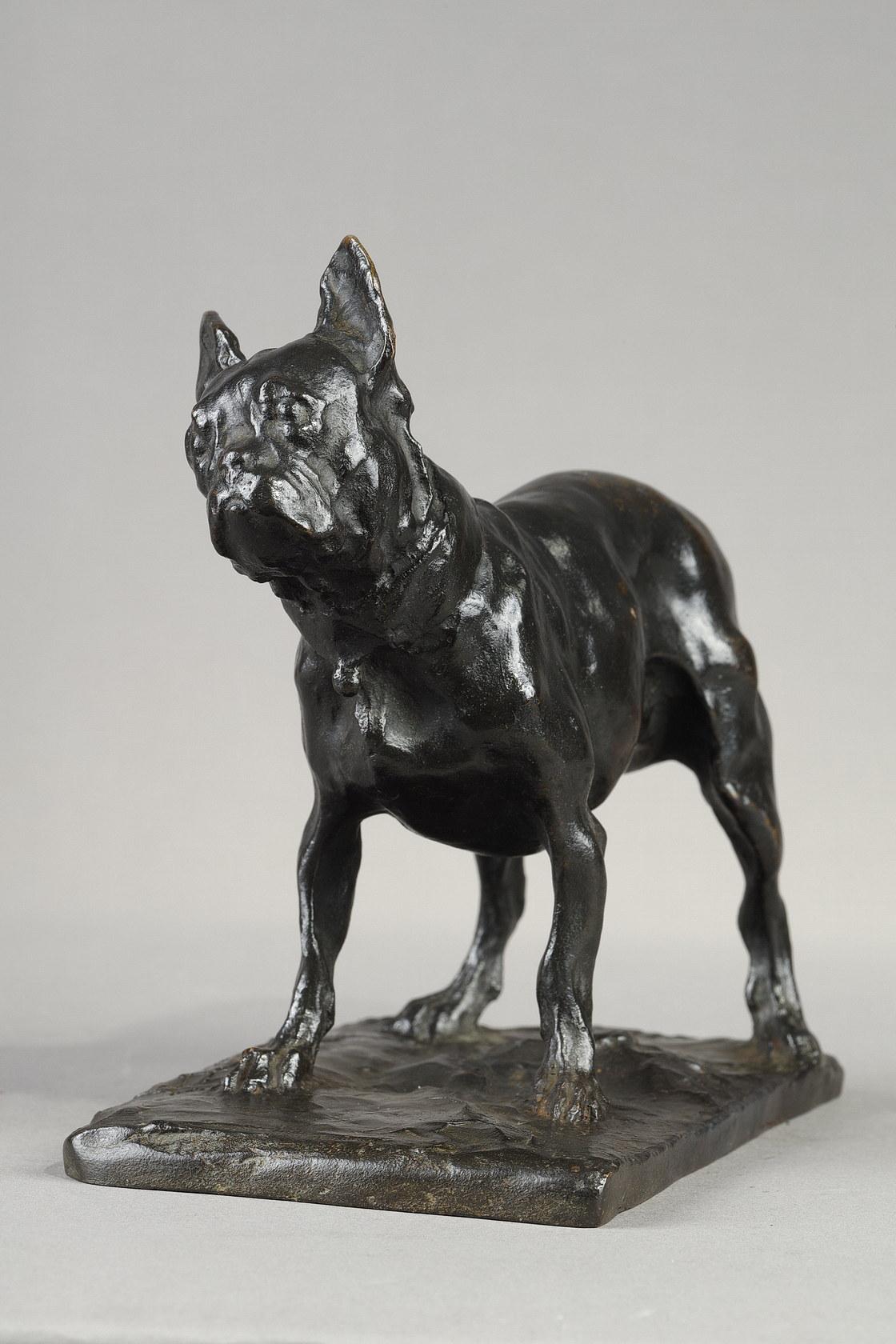 Rembrandt BUGATTI (1884-1916)
Französische Bulldogge
auch bekannt als Der Hund von Teresa Lorioli (Mutter des Künstlers)
Kleine Größe

Skulptur aus Bronze mit nuancierter schwarzer Patina.
Signiert auf dem Sockel 