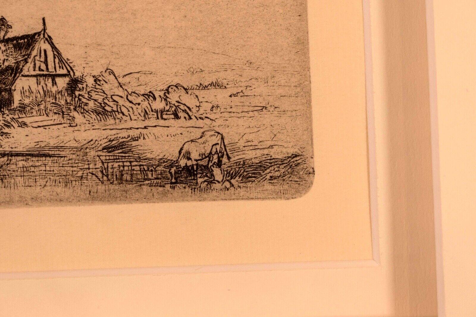 rembrandt cow