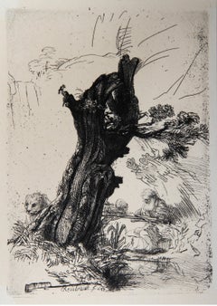 San Gerónimo Ecrivant (B103), Heliograbado de Rembrandt van Rijn