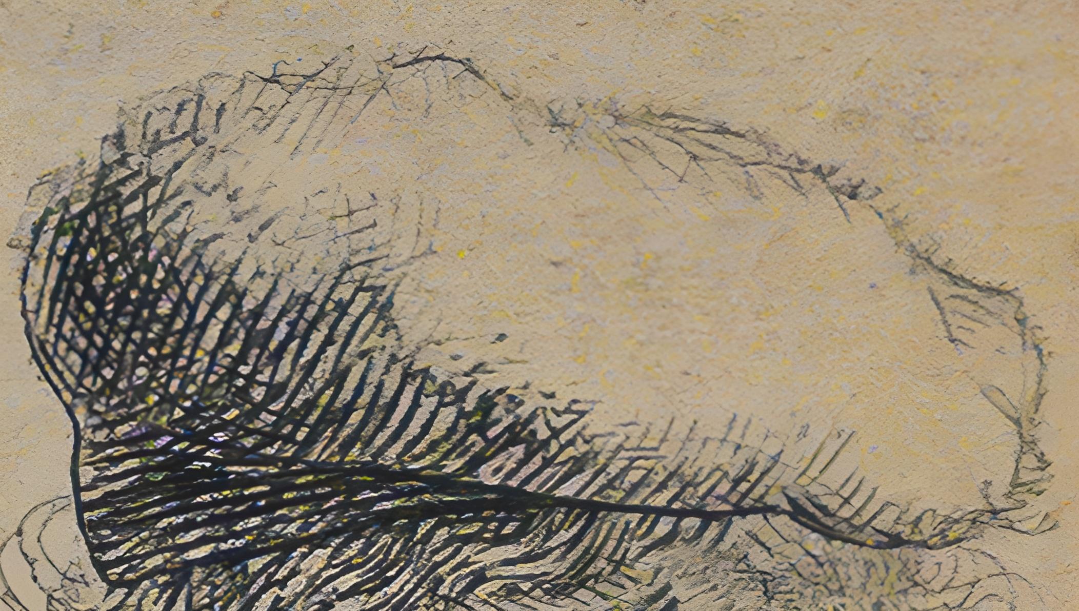 rembrandt signature on etchings