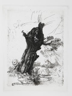 St. Jerome beside a pollard willow, Etching by Rembrandt van Rijn