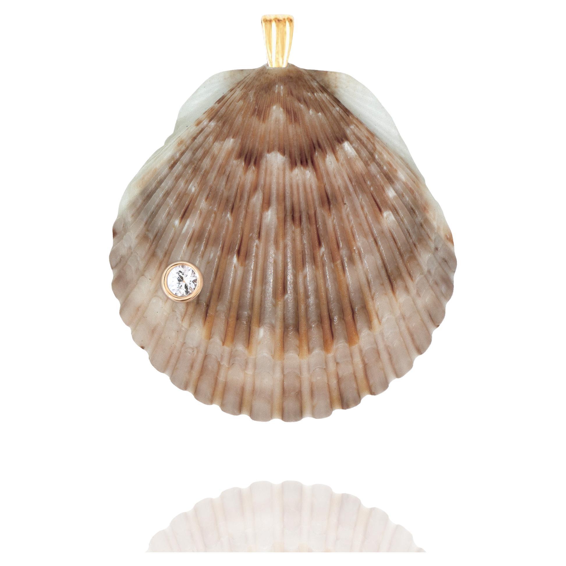 Pendentif en or 14k avec saphir blanc naturel et coquillage de Whiting