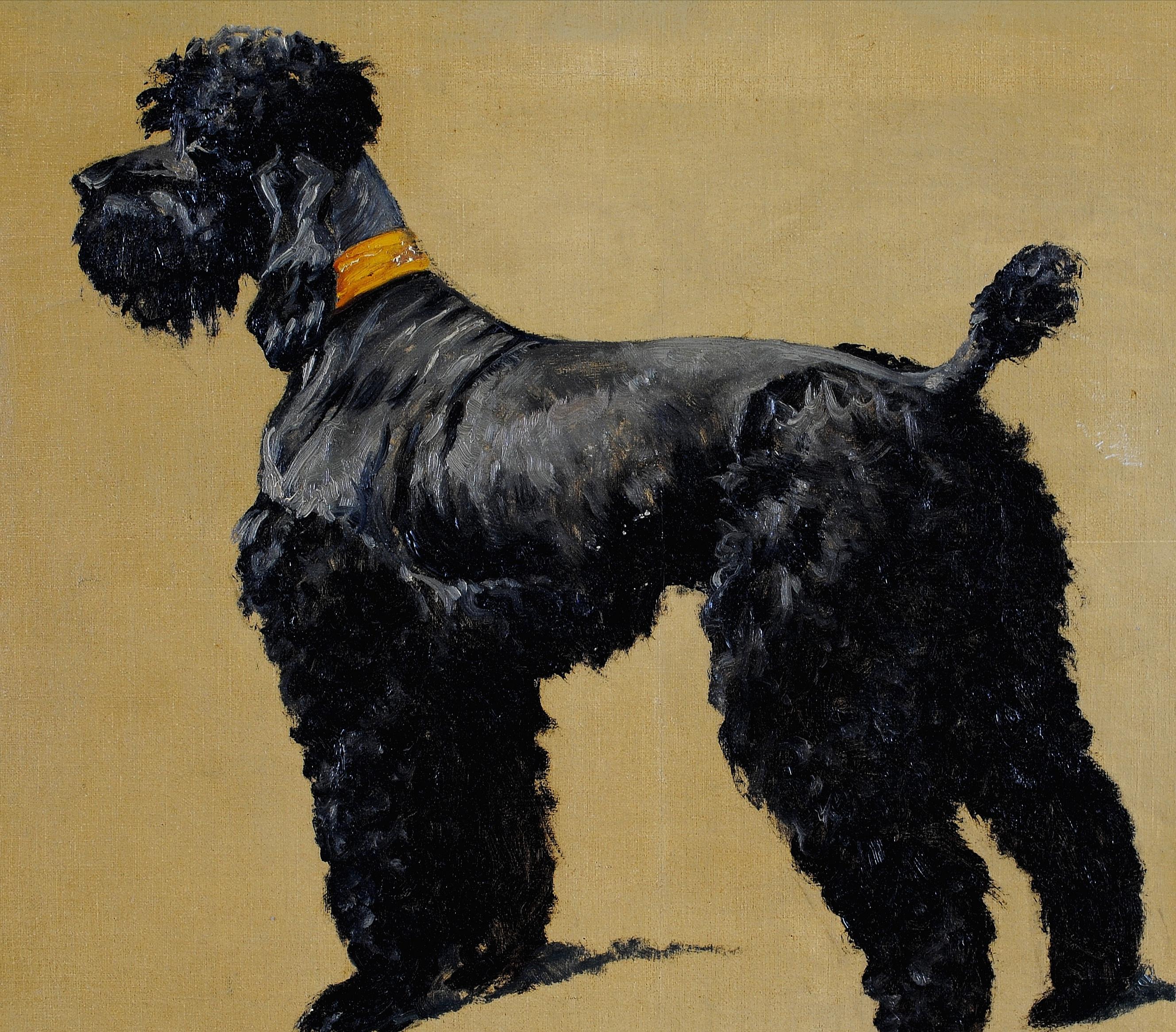Ritratto di Terrier - Pittura su tela con cane belga della metà del XX secolo - Animal Painting Marrone di René Philippe Delin