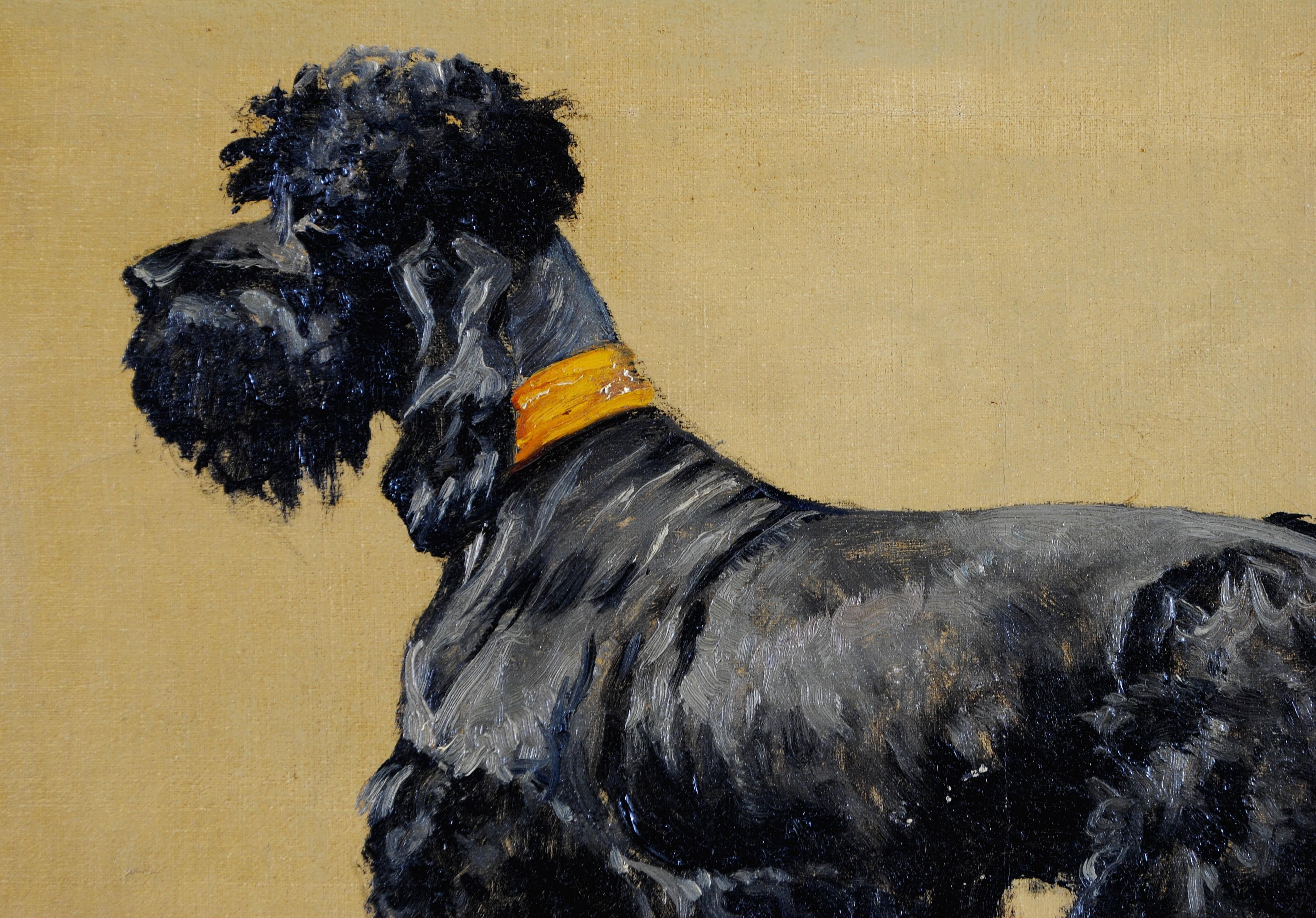 Un bellissimo ritratto ad olio su tela di un cane terrier della metà del XX secolo, opera dell'artista belga René Philippe Delin.

Insolita rappresentazione prospettica del cane ben curato di questo noto artista di animali che ha studiato