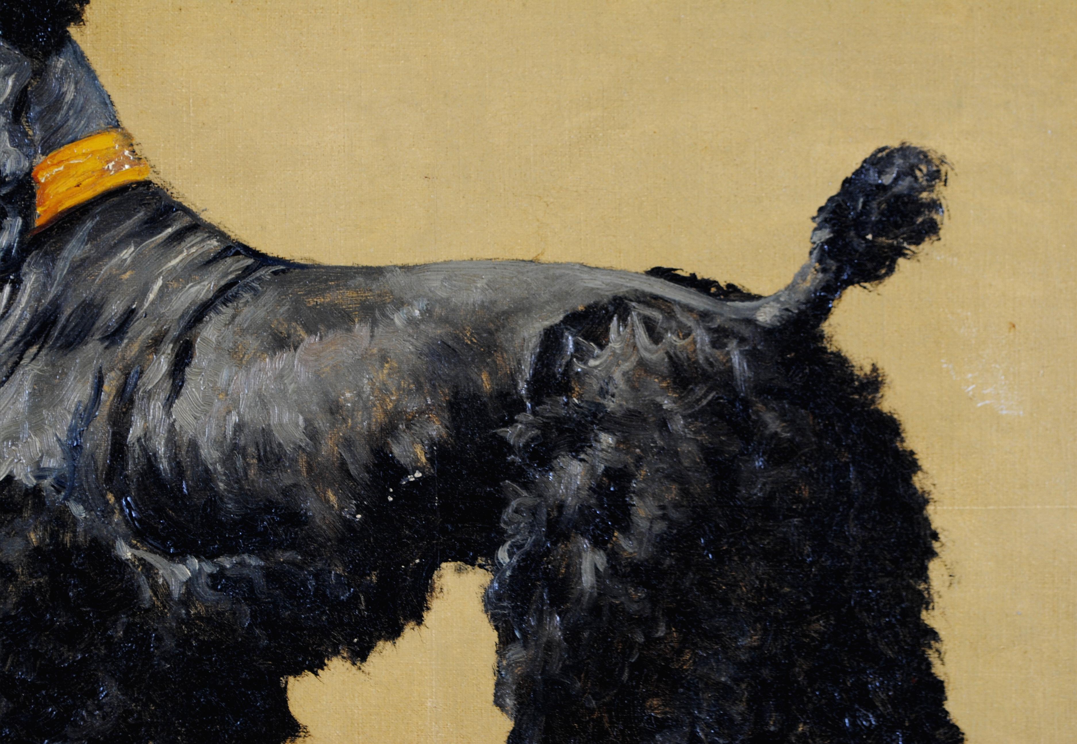 Ritratto di Terrier - Pittura su tela con cane belga della metà del XX secolo in vendita 1
