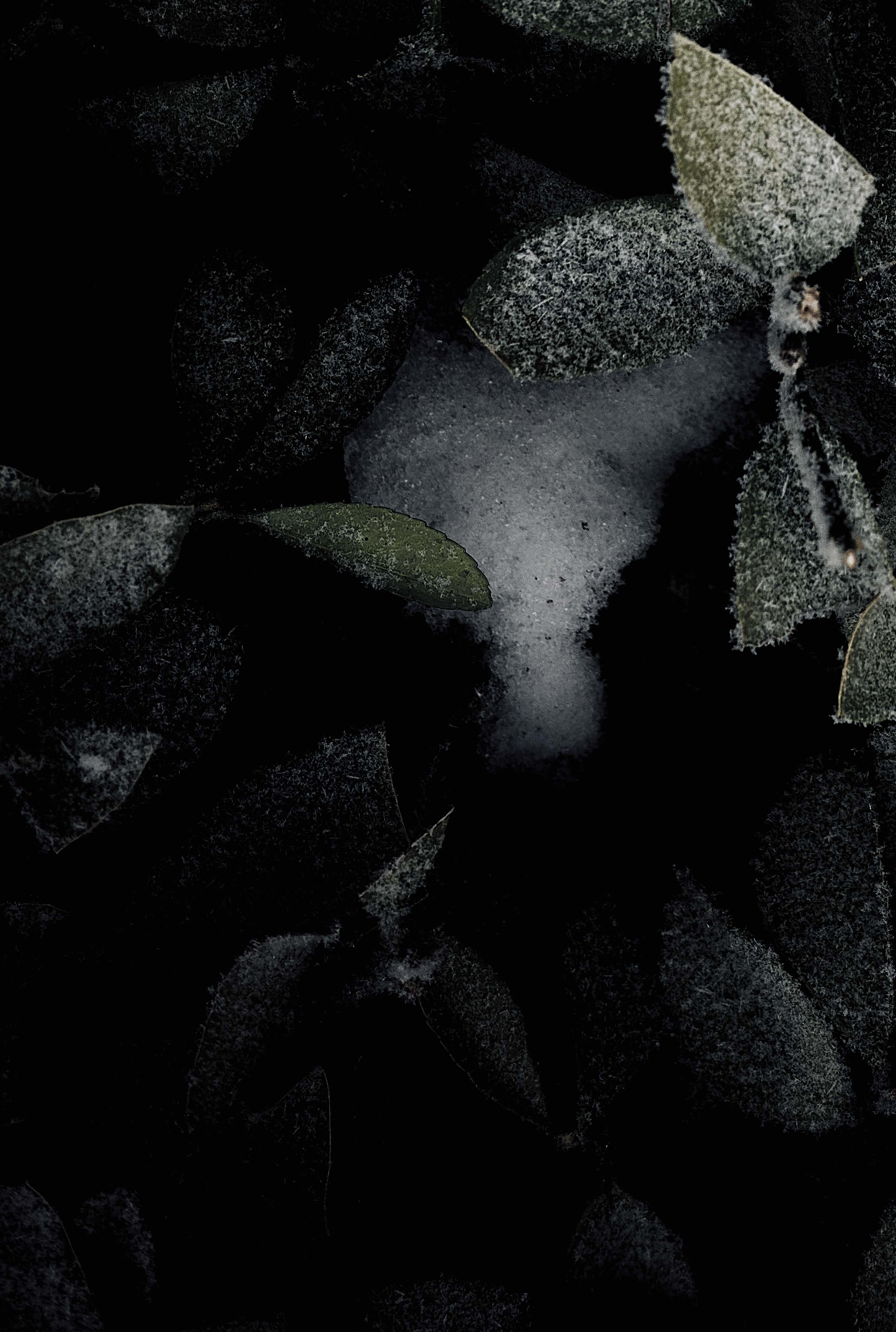 Ren Wei Heng offers a profound glimpse into the human experience through her unique artistic lens. Her journey, from battling severe health issues and psychological disorders to finding solace and insight in the observation of people and plants,