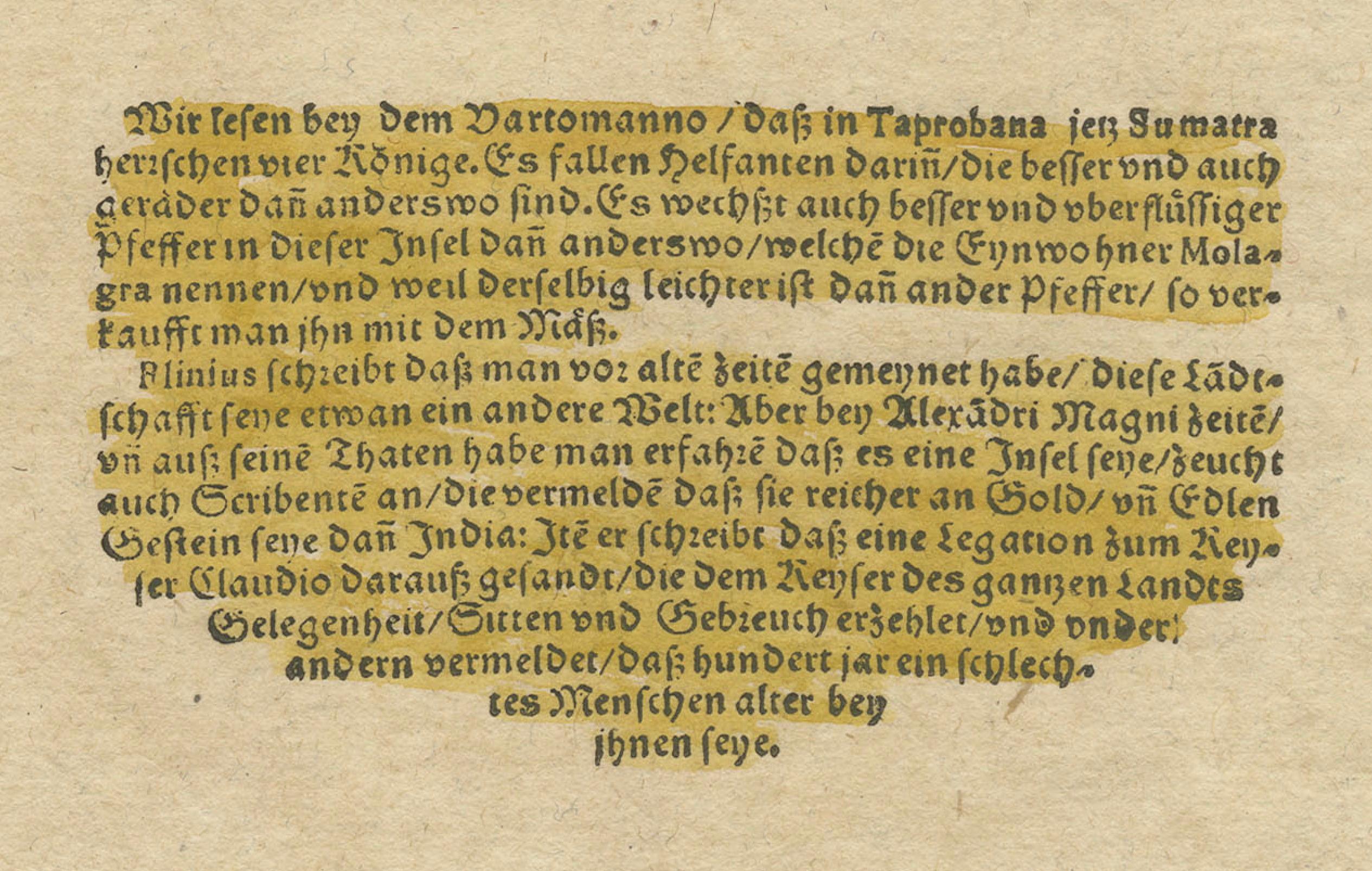 Renaissance-Kartierung von Sumatra: Singapur im Holzschnitt von Münster, um 1590 im Angebot 1