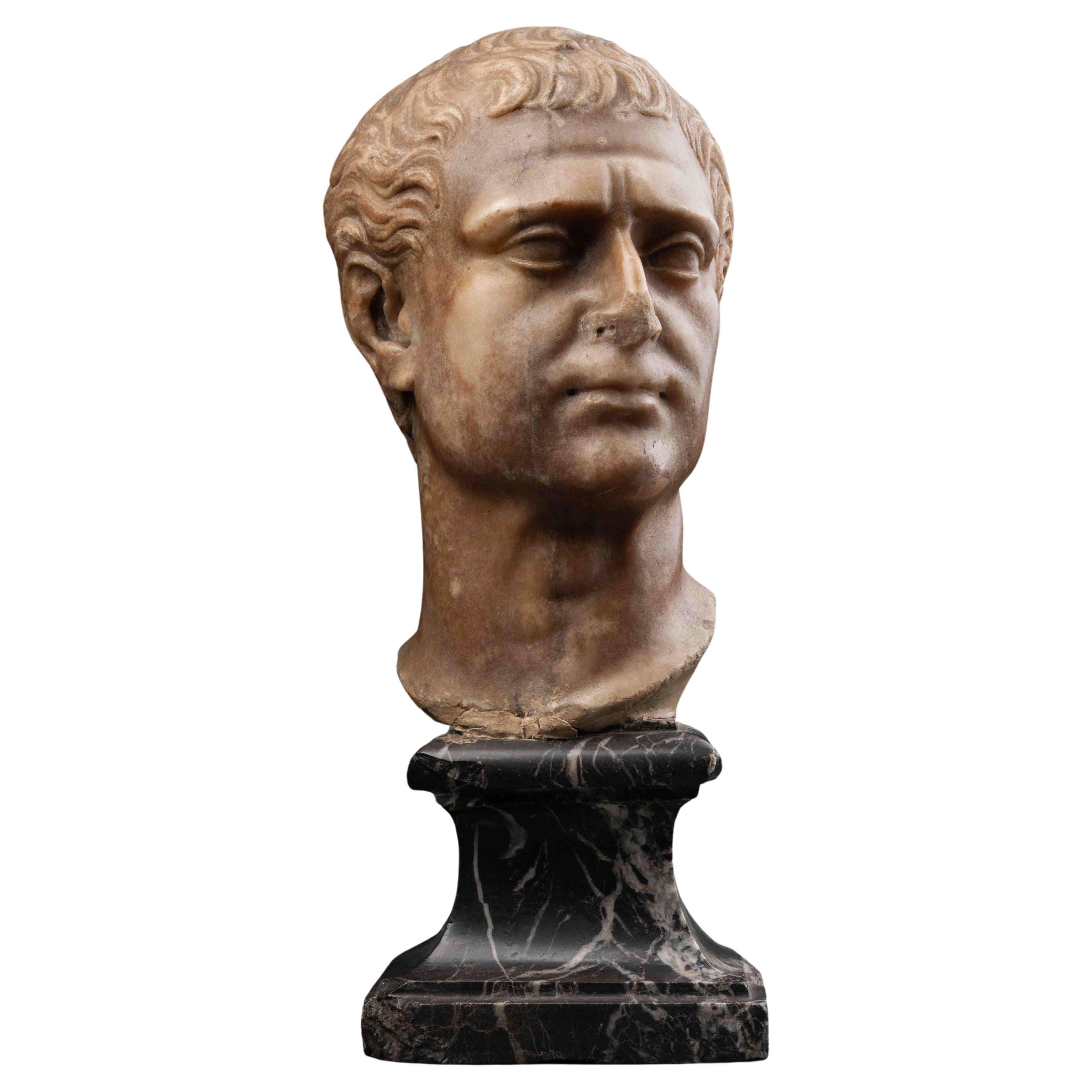 Renaissance Marble Portrait - Northern Italy, 17th century