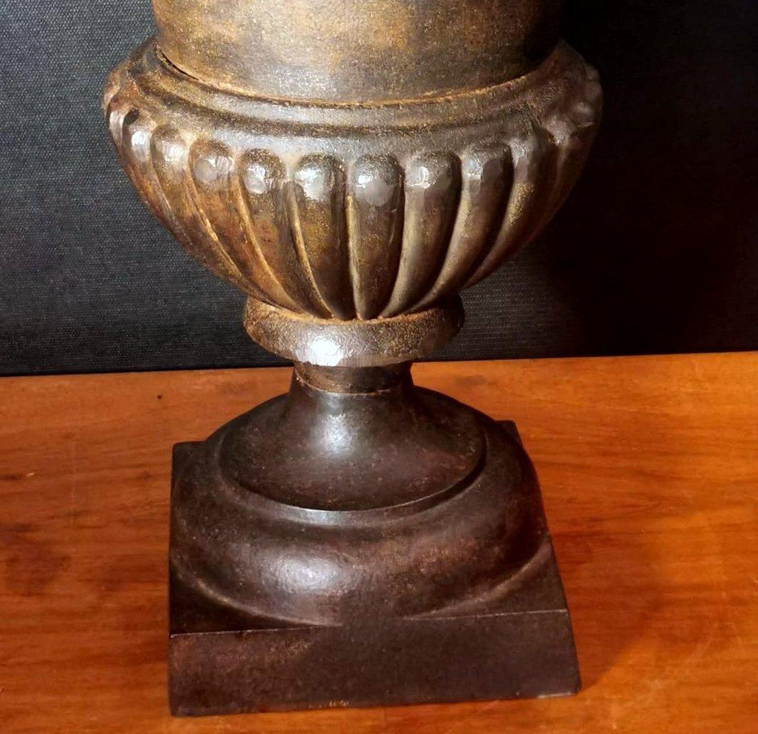 Renaissance Style French Medici Vase in Cast Iron For Sale 5