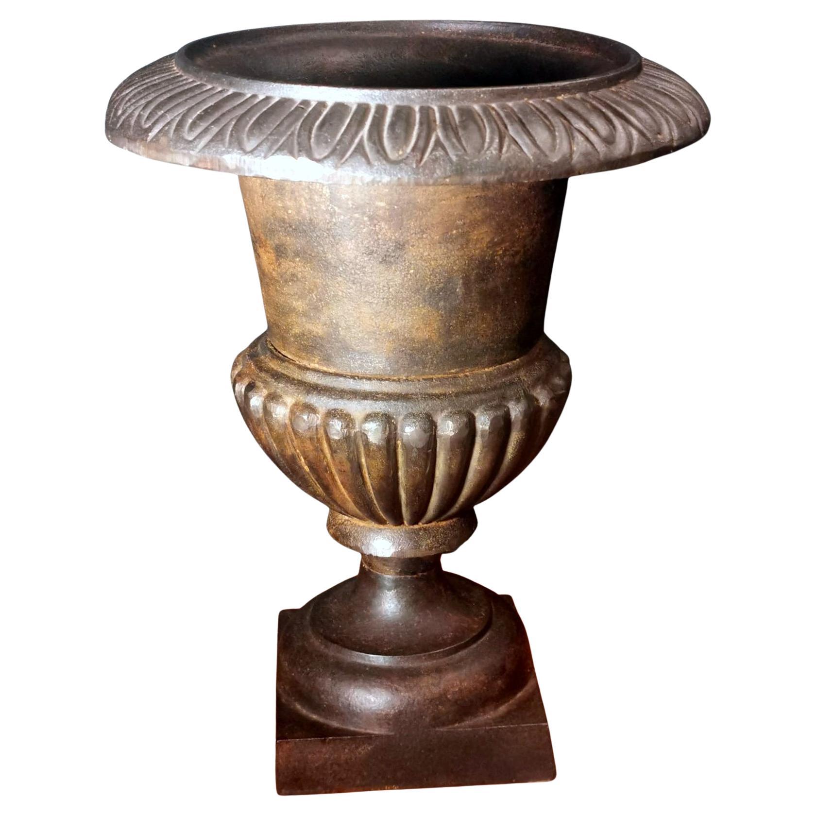 Renaissance Style French Medici Vase in Cast Iron For Sale