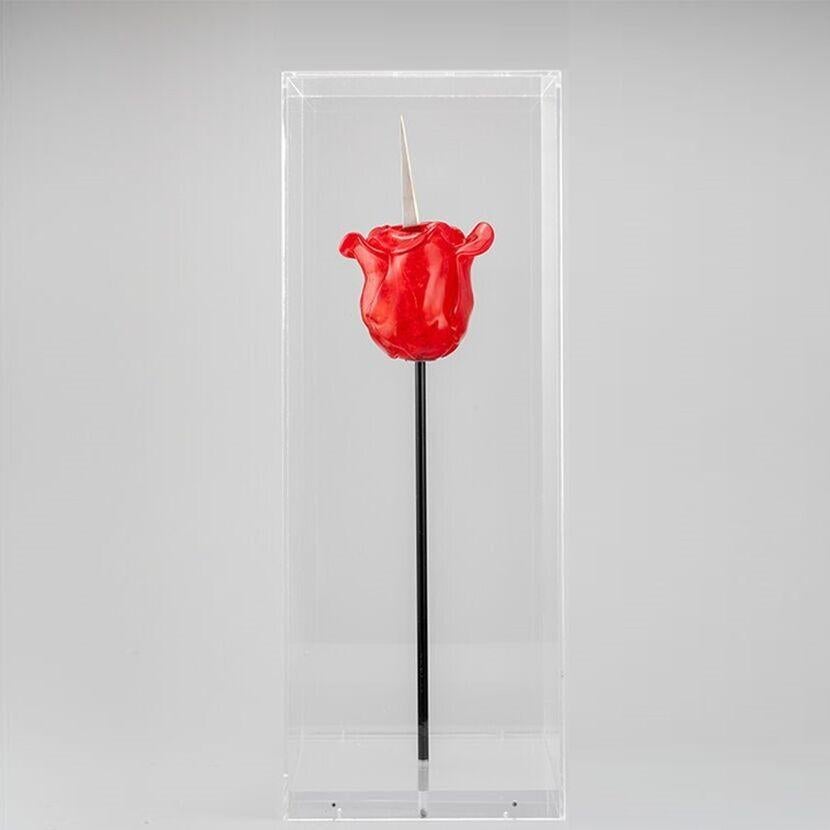 Sculpture de rose rouge Discordo Ergo Sum avec couteau en verre de Murano de Bertlemann