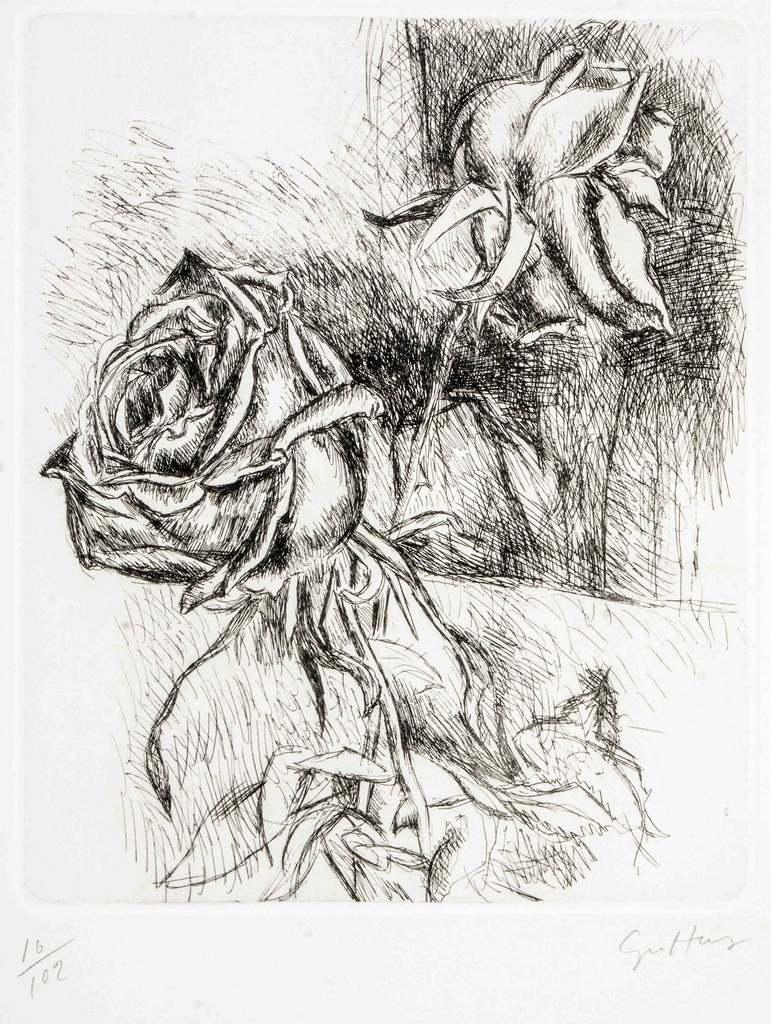 Rose - Etching by Renato Guttuso - 1964