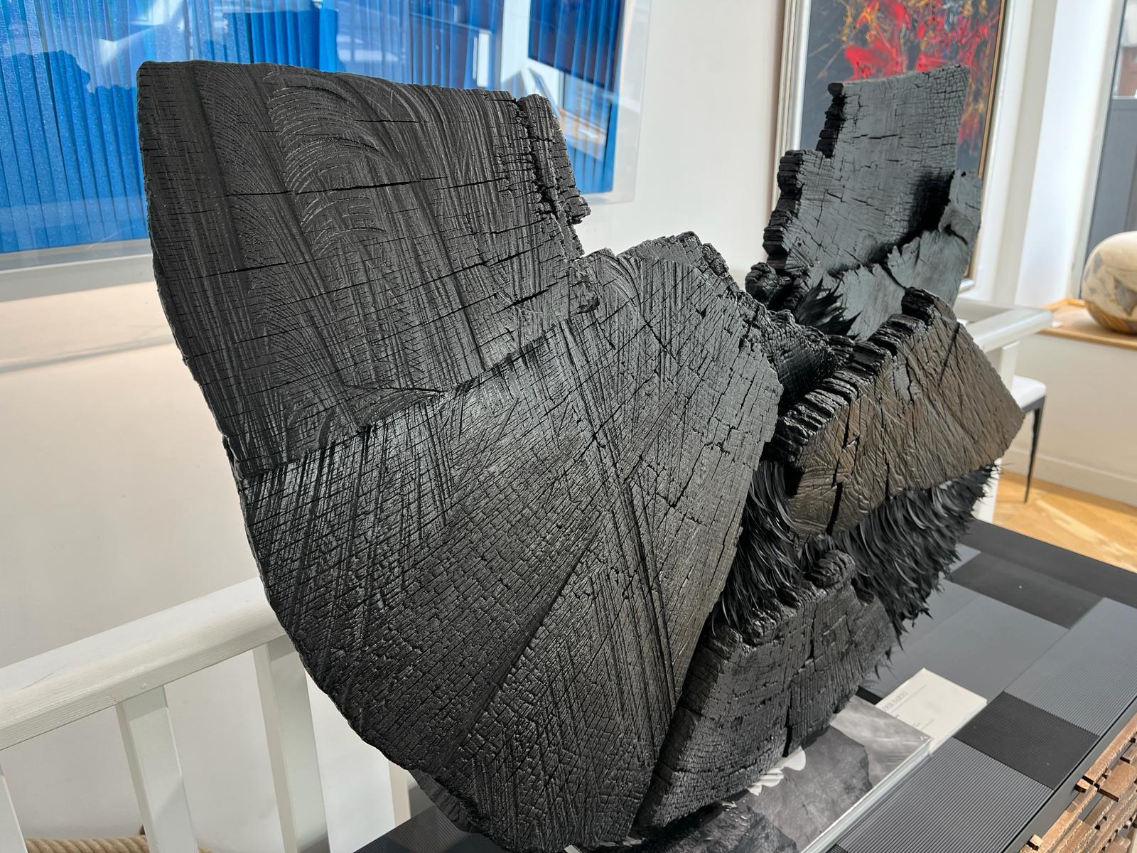 Renaud Bihi
Untitled
Bois brûlé et plumes  Burnt wood and feathers
107 x 20 x 66 cm  42.1 x 7.8 x 25.9 in.

Renaud Bihi, an artist of materials and a man of contrasts, has had a singular career in the art world. Once a well-known florist, he has