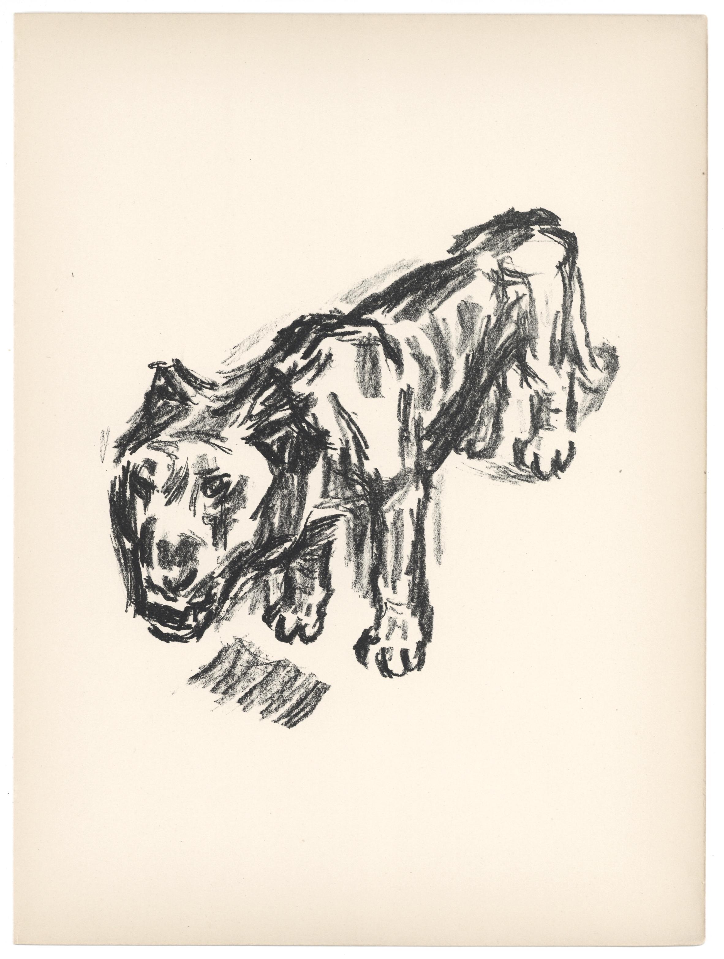 "The Lion" original lithograph - Print by René Beeh