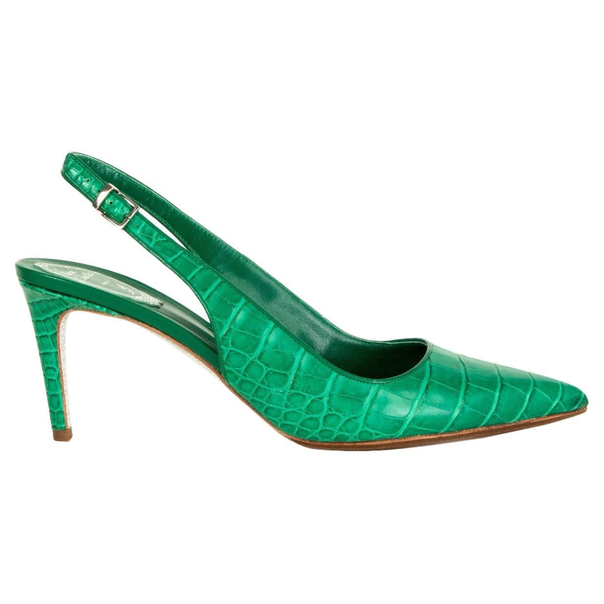 RENE CAOVILLA green Pointed Toe CROCODILE NADINE Slingbacks Shoes 41
