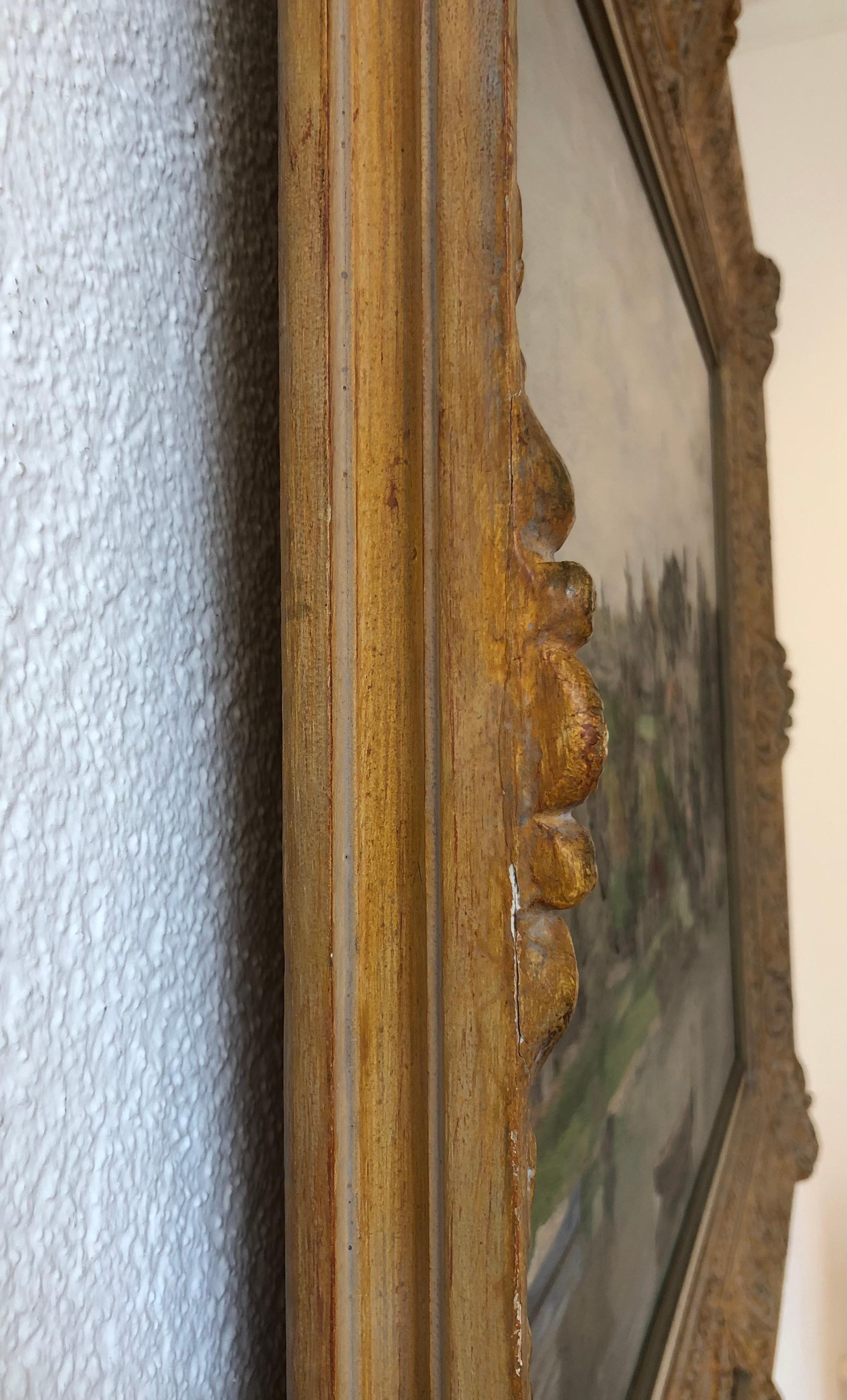Landscape at La Belotte, Geneva, Lake Geneva For Sale 6