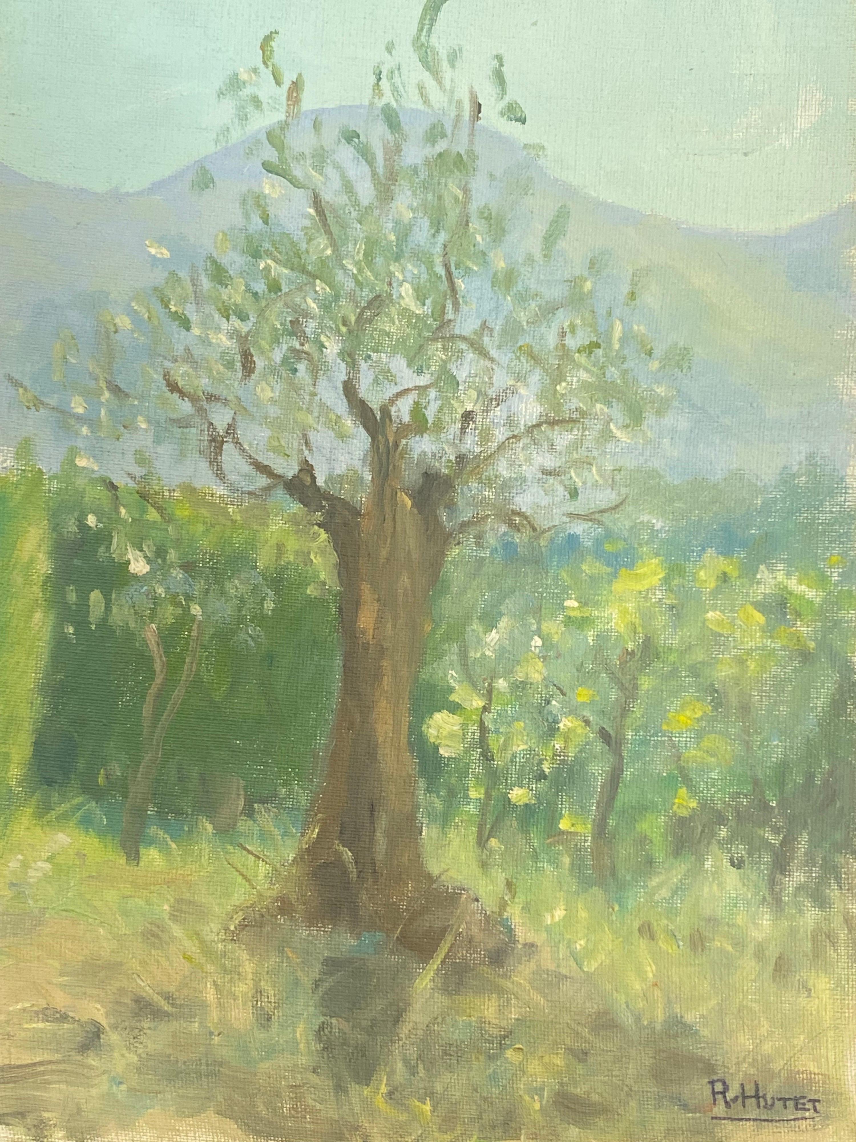 Rene Hutet Landscape Painting - 20th century French Impressionist Oil Golden Provence Landscape & Tree