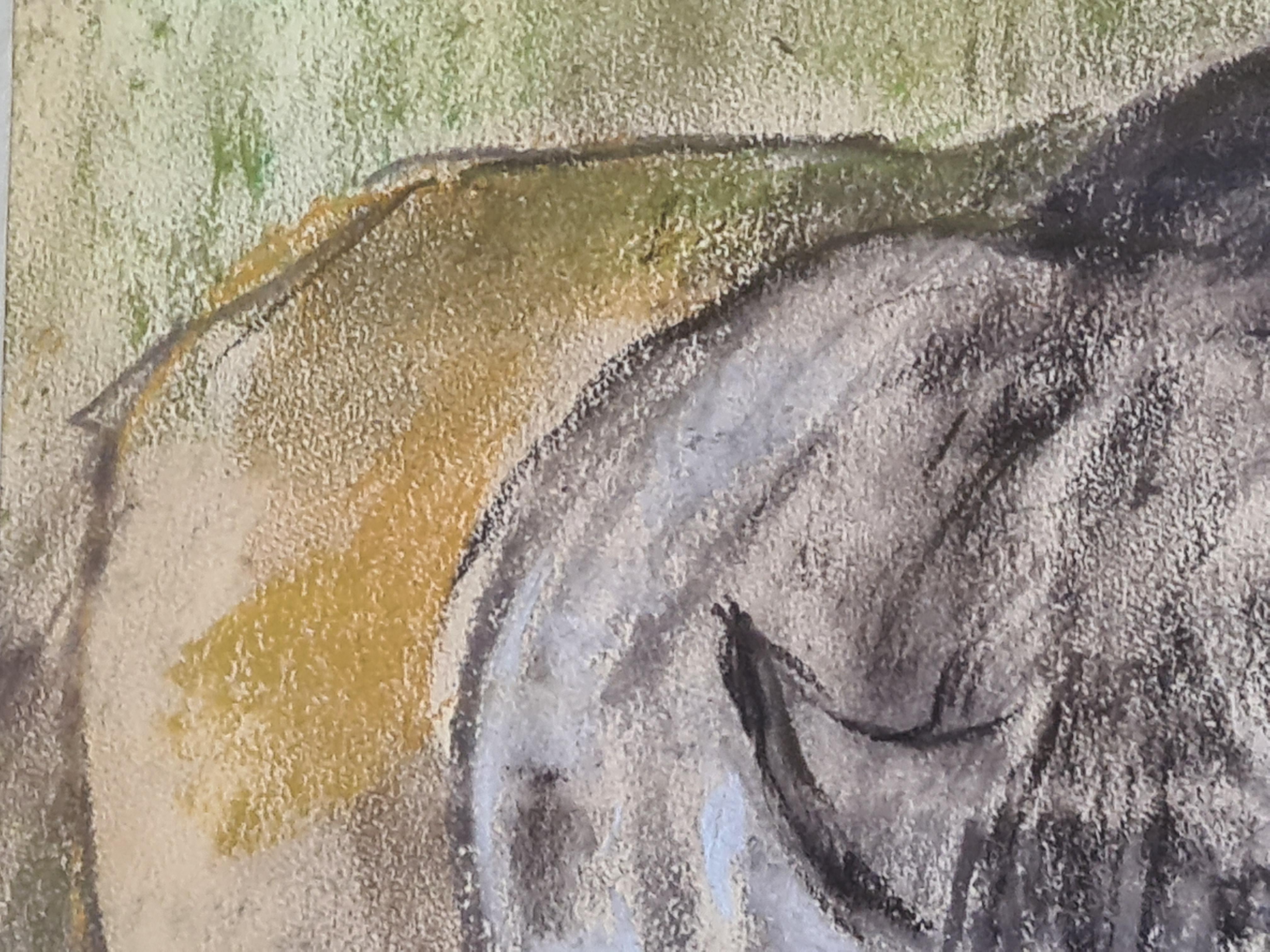 Pastello della Scuola di Parigi, Il gatto che riposa, Cerchio di Léonard Tsuguharu Foujita in vendita 1