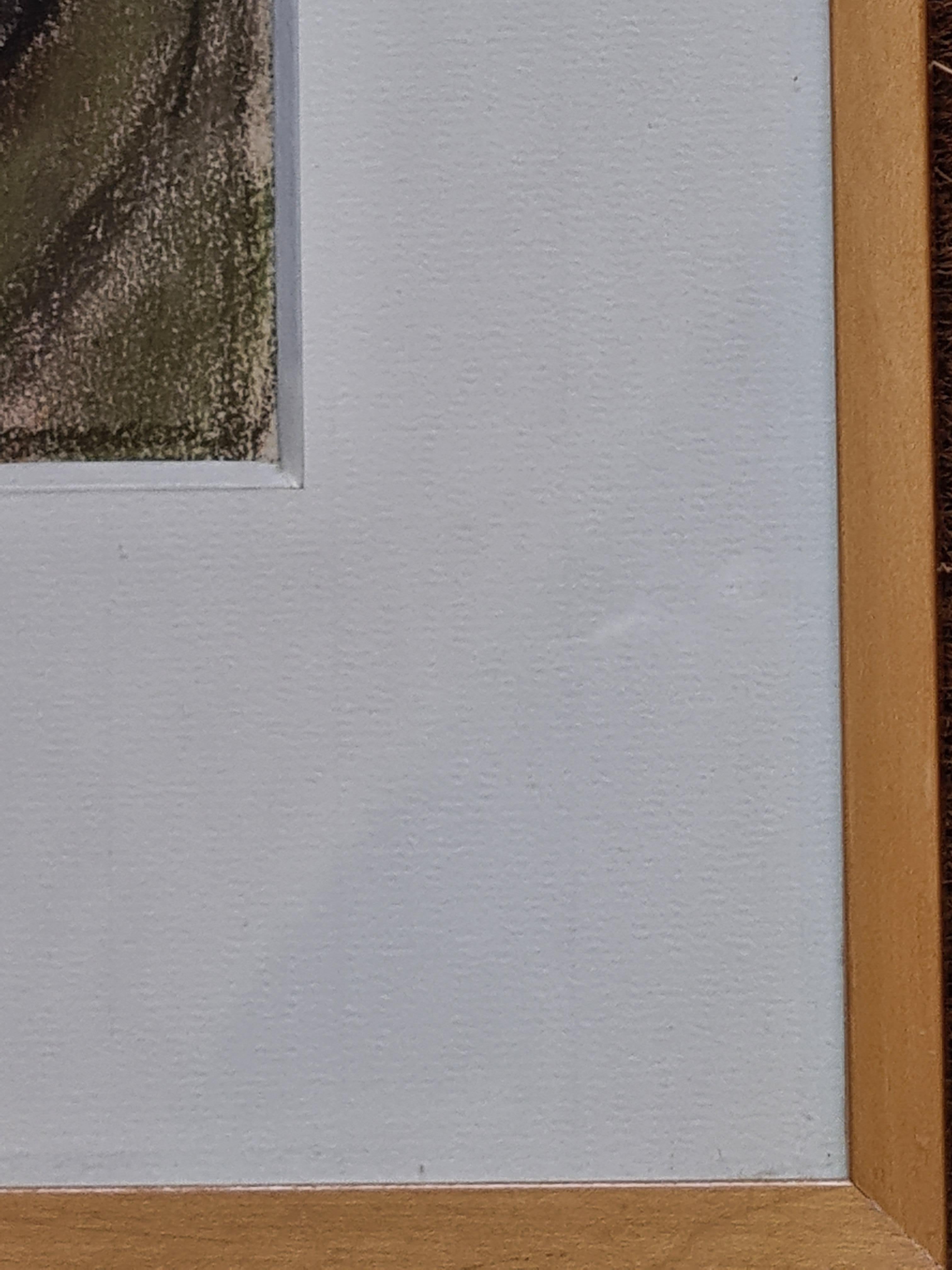 Pastello della Scuola di Parigi, Il gatto che riposa, Cerchio di Léonard Tsuguharu Foujita in vendita 4