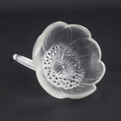 Rene Lalique Anemone Fermee flower paperweight C1931