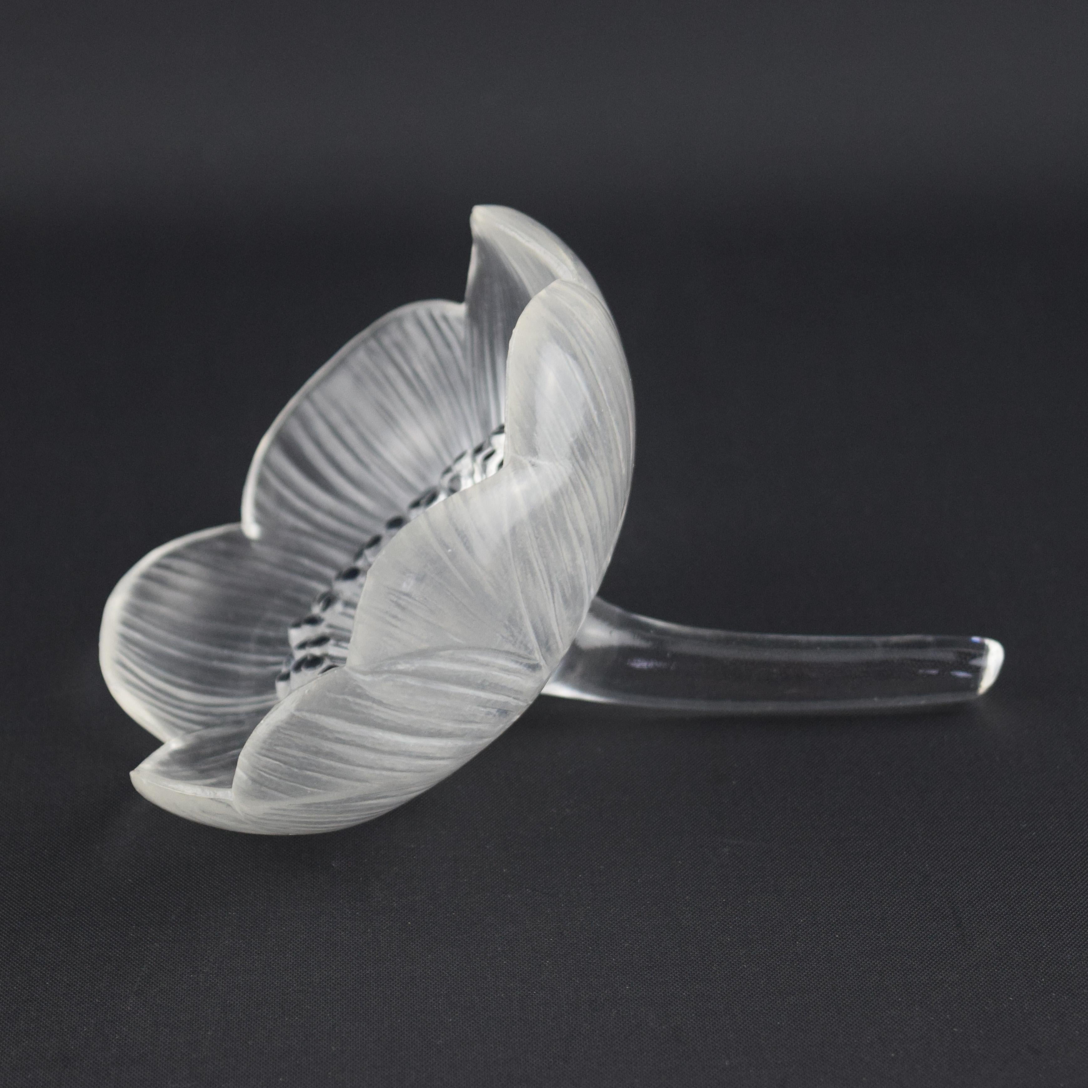 Rene Lalique Pisapapeles flor Anemone Fermee C1931 Moldeado en venta