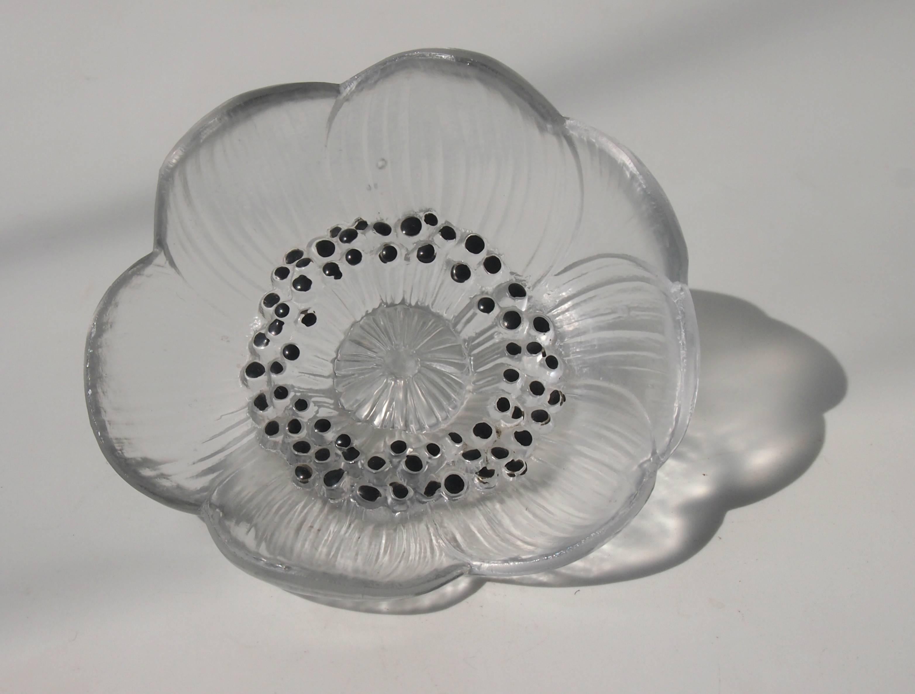 Super clear and frosted, signed, Rene Lalique Anemone Ferme (Closed Anemone) (Ref: Marcilhac 1180) with black enamelling. Designed to be either a paperweight or a table decoration. Signed to back of the flower head R Lalique see picture 8. Very few