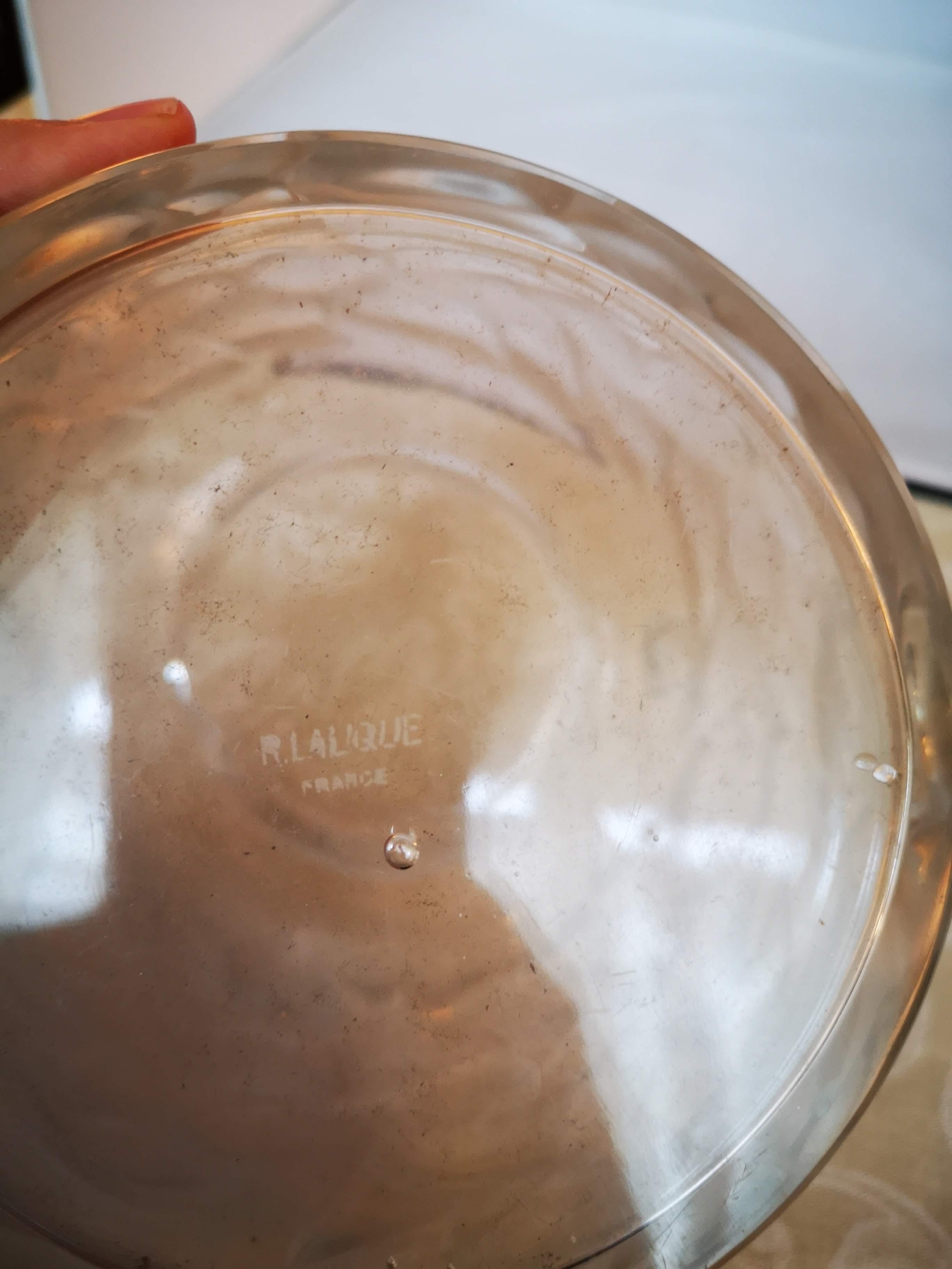 René Lalique Blidah Glaskrug, 1930er Jahre im Angebot 8